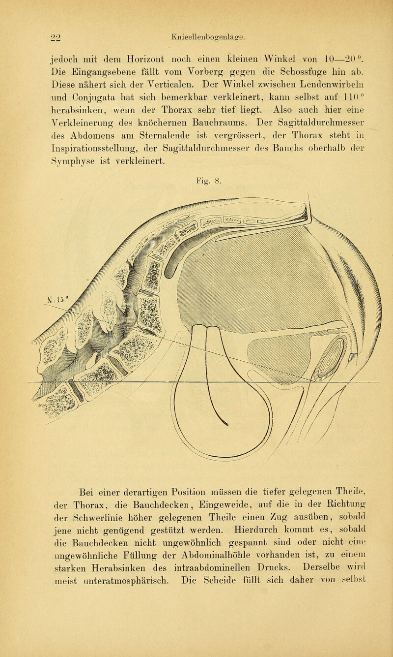 jedoch mit dem Horizont noch einen kleinen Winkel von 10—20 °. Die Eingangsebene fällt vom Vorberg gegen die Schossfuge hin ab. Diese nähert sich der Verticalen. Der Winkel zwischen Lendenwirbeln und Conjugata hat sich bemerkbar verkleinert, kann selbst auf 110° herabsinken, wenn der Thorax sehr tief liegt. Also auch hier eine Verkleinerung des knöchernen Bauchraums. Der Sagittaldurchmesser des Abdomens am Sternalende ist vergrössert, der Thorax steht in Inspirationsstellung, der Sagittaldurchmesser des Bauchs oberhalb der Symphyse ist verkleinert. Fie. 8. Bei einer derartigen Position müssen die tiefer gelegenen Theile, der Thorax, die Bauchdecken, Eingeweide, auf die in der Richtung der Schwerlinie höher gelegenen Theile einen Zug ausüben, sobald jene nicht genügend gestützt werden. Hierdurch kommt es, sobald die Bauchdecken nicht ungewöhnlich gespannt sind oder nicht eine ungewöhnliche Füllung der Abdominalhöhle vorhanden ist, zu einem starken Herabsinken des intraabdominellen Drucks. Derselbe wird meist unteratmosphärisch. Die Scheide füllt sich daher von selbst
