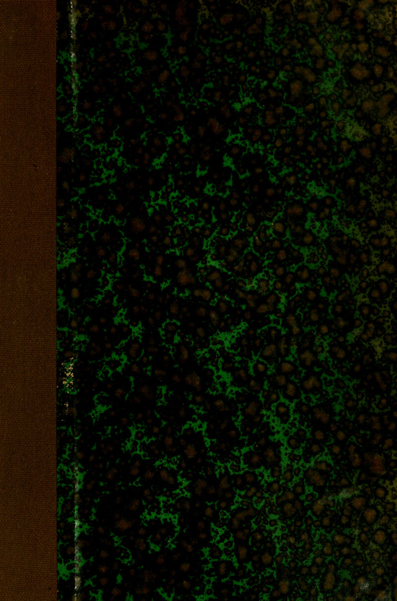 ^-rv>^ •■%^.:i ,:»'T :. \ .-f* 'j>.> -s» ^ ■'' c^. t ,^ :<:-■ ¥^ <ki^ ' ■ ^^ &^