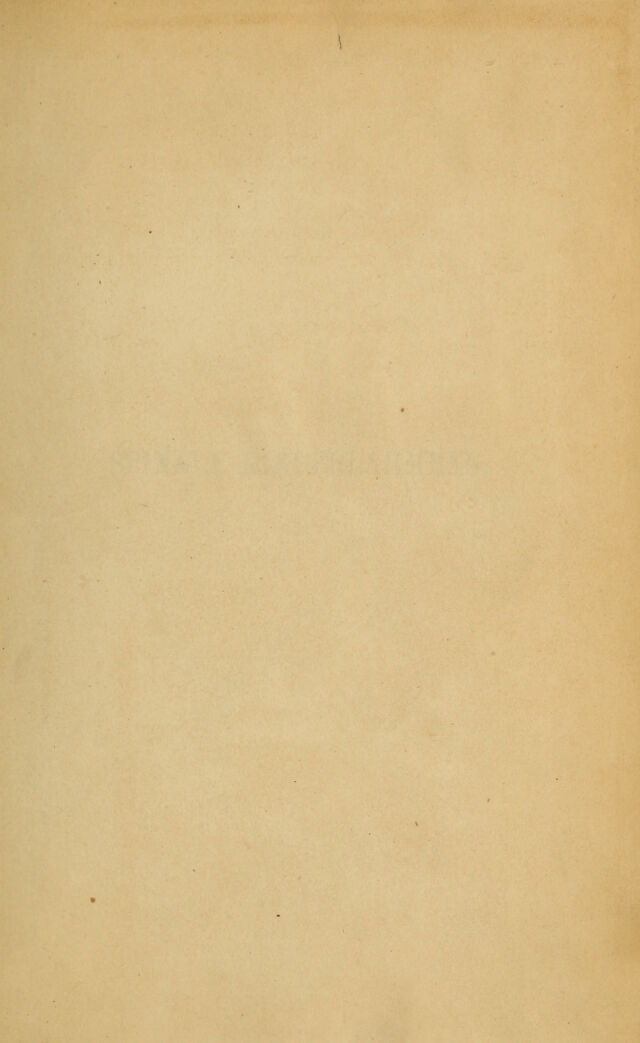 digitised image 3