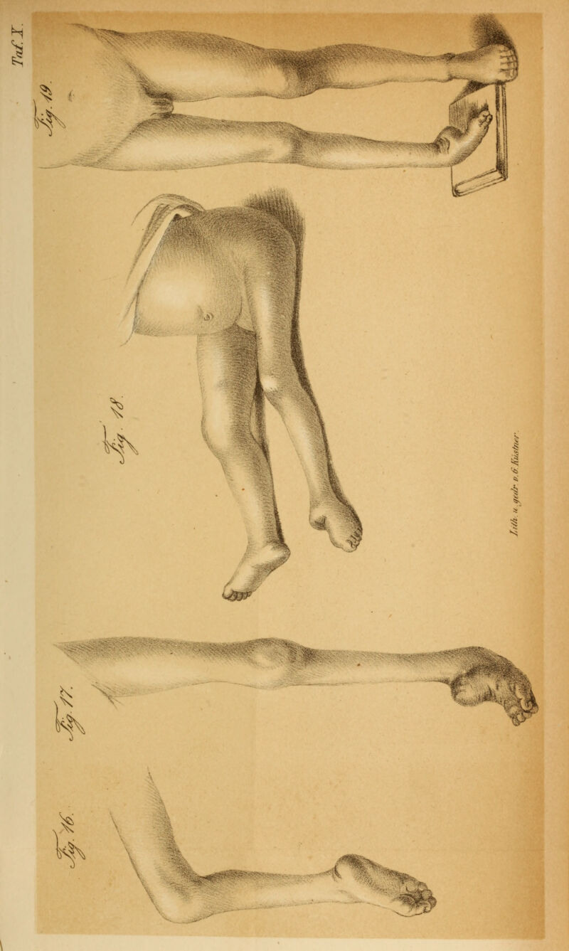 ^ ^ St I 'S ^ tftfl £ *P