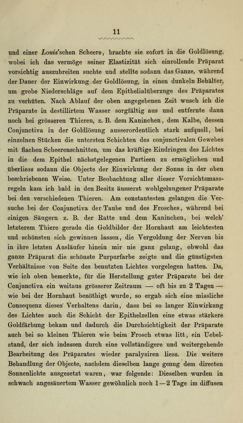 und einer Louis'schen Scheere, brachte sie sofort in die Goldlösung, wobei ich das vermöge seiner Elastizität sich einrollende Präparat vorsichtig auszubreiten suchte und stellte sodann das Ganze, während der Dauer der Einwirkung der Goldlösung, in einen dunkeln Behälter, um grobe Niederschläge auf dem Epithelialüberzuge des Präparates zu verhüten. Nach Ablauf der oben angegebenen Zeit wusch ich die Präparate in destillirtem Wasser sorgfältig aus und entfernte dann noch bei grösseren Thieren, z. B. dem Kaninchen, dem Kalbe, dessen Conjunctiva in der Goldlösung ausserordentlich stark aufquoll, bei einzelnen Stücken die untersten Schichten des conjunctivalen Gewebes mit flachen Scheerenschnitten, um das kräftige Eindringen des Lichtes in die dem Epithel nächstgelegenen Partieen zu ermöglichen und überliess sodann die Objecte der Einwirkung der Sonne in der oben beschriebenen Weise. Unter Beobachtung aller dieser Vorsichtsmass- regeln kam ich bald in den Besitz äusserst wohlgelungener Präparate bei den verschiedenen Thieren. Am constantesten gelangen die Ver- suche bei der Conjunctiva der Taube und des Frosches, während bei einigen Säugern z. B. der Ratte und dem Kaninchen, bei welch' letzterem T liiere gerade die Goldbilder der Hornhaut am leichtesten und schönsten sich gewinnen lassen, die Vergoldung der Nerven bis in ihre letzten Ausläufer hinein mir nie ganz gelang, obwohl das ganze Präparat die schönste Purpurfarbe zeigte und die günstigsten Verhältnisse von Seite des benutzten Lichtes vorgelegen hatten. Da, wie ich oben bemerkte, für die Herstellung guter Präparate bei der Conjunctiva ein weitaus grösserer Zeitraum — oft bis zu 2 Tagen — wie bei der Hornhaut benöthigt wurde, so ergab sich eine missliche Consequenz dieses Verhaltens darin, dass bei so langer Einwirkung des Lichtes auch die Schicht der Epithelzellen eine etwas stärkere Goldfärbung bekam und dadurch die Durchsichtigkeit der Präparate auch bei so kleinen Thieren wie beim Frosch etwas litt, ein TJebel- stand, der sich indessen durch eine vollständigere und weitergehende Bearbeitung des Präparates wieder paralysiren Hess. Die weitere Behandlung der Objecte, nachdem dieselben lange genug dem directen Sonnenlichte ausgesetzt waren, war folgende: Dieselben wurden in schwach angesäuertem Wasser gewöhnlich noch 1—2 Tage im diffusen