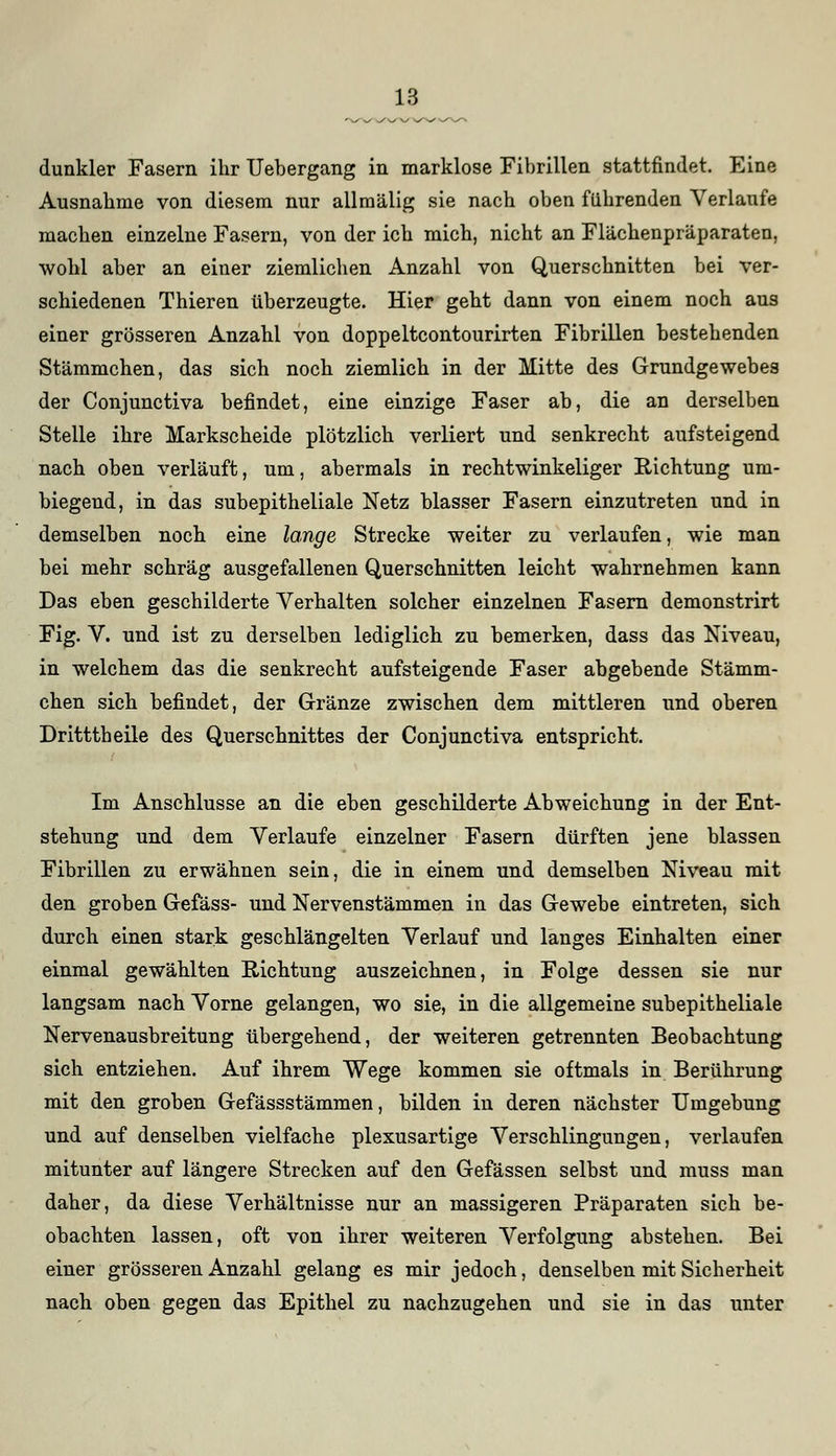 dunkler Fasern ihr Uebergang in marklose Fibrillen stattfindet. Eine Ausnahme von diesem nur allmälig sie nach oben führenden Verlaufe machen einzelne Fasern, von der ich mich, nicht an Flächenpräparaten, wohl aber an einer ziemlichen Anzahl von Querschnitten bei ver- schiedenen Thieren überzeugte. Hier geht dann von einem noch aus einer grösseren Anzahl von doppeltcontourirten Fibrillen bestehenden Stämmchen, das sich noch ziemlich in der Mitte des Grundgewebes der Conjunctiva befindet, eine einzige Faser ab, die an derselben Stelle ihre Markscheide plötzlich verliert und senkrecht aufsteigend nach oben verläuft, um, abermals in rechtwinkeliger Richtung um- biegend, in das subepitheliale Netz blasser Fasern einzutreten und in demselben noch eine lange Strecke weiter zu verlaufen, wie man bei mehr schräg ausgefallenen Querschnitten leicht wahrnehmen kann Das eben geschilderte Verhalten solcher einzelnen Fasern demonstrirt Fig. V. und ist zu derselben lediglich zu bemerken, dass das Niveau, in welchem das die senkrecht aufsteigende Faser abgebende Stämm- chen sich befindet, der Gränze zwischen dem mittleren und oberen Dritttheile des Querschnittes der Conjunctiva entspricht. Im Anschlüsse an die eben geschilderte Abweichung in der Ent- stehung und dem Verlaufe einzelner Fasern dürften jene blassen Fibrillen zu erwähnen sein, die in einem und demselben Niveau mit den groben Gefäss- und Nervenstämmen in das Gewebe eintreten, sich durch einen stark geschlängelten Verlauf und langes Einhalten einer einmal gewählten Richtung auszeichnen, in Folge dessen sie nur langsam nach Vorne gelangen, wo sie, in die allgemeine subepitheliale Nervenausbreitung übergehend, der weiteren getrennten Beobachtung sich entziehen. Auf ihrem Wege kommen sie oftmals in Berührung mit den groben Gefässstämmen, bilden in deren nächster Umgebung und auf denselben vielfache plexusartige Verschlingungen, verlaufen mitunter auf längere Strecken auf den Gefässen selbst und muss man daher, da diese Verhältnisse nur an massigeren Präparaten sich be- obachten lassen, oft von ihrer weiteren Verfolgung abstehen. Bei einer grösseren Anzahl gelang es mir jedoch, denselben mit Sicherheit nach oben gegen das Epithel zu nachzugehen und sie in das unter