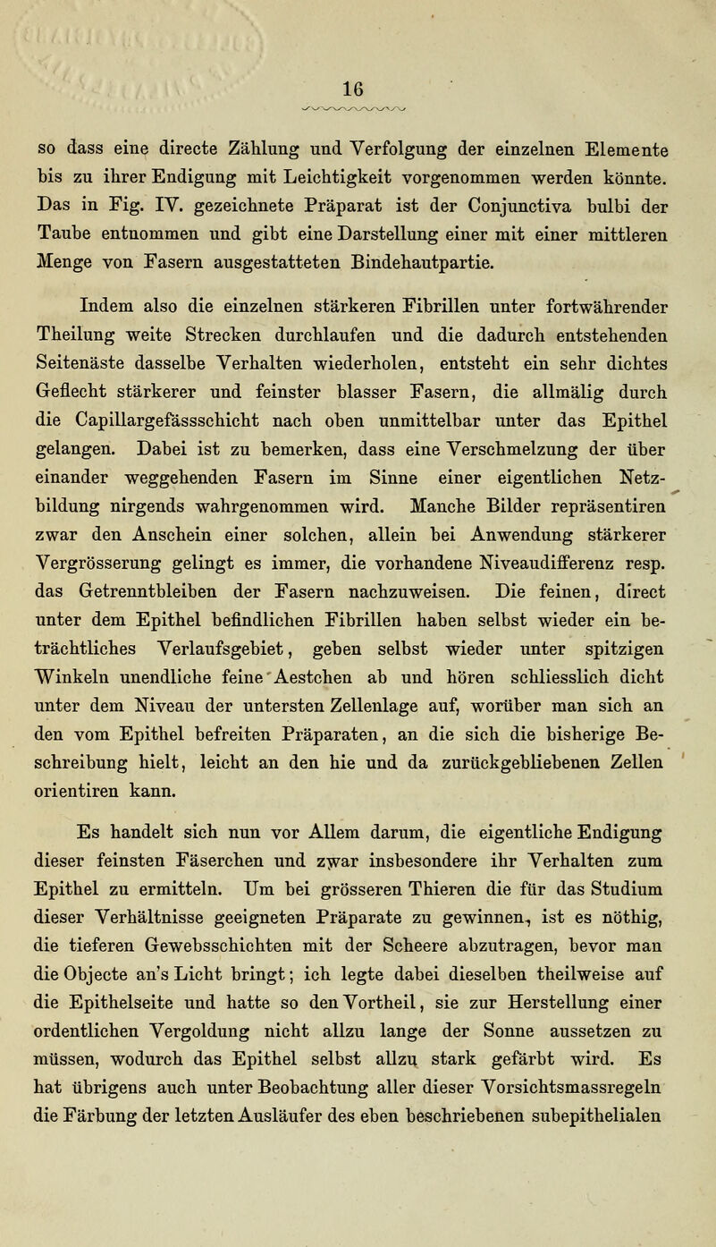 so dass eine directe Zählung und Verfolgung der einzelnen Elemente bis zu ihrer Endigung mit Leichtigkeit vorgenommen werden könnte. Das in Fig. IV. gezeichnete Präparat ist der Conjunctiva bulbi der Taube entnommen und gibt eine Darstellung einer mit einer mittleren Menge von Fasern ausgestatteten Bindehautpartie. Indem also die einzelnen stärkeren Fibrillen unter fortwährender Theilung weite Strecken durchlaufen und die dadurch entstehenden Seitenäste dasselbe Verhalten wiederholen, entsteht ein sehr dichtes Geflecht stärkerer und feinster blasser Fasern, die allmälig durch die Capillargefässschicht nach oben unmittelbar unter das Epithel gelangen. Dabei ist zu bemerken, dass eine Verschmelzung der über einander weggehenden Fasern im Sinne einer eigentlichen Netz- bildung nirgends wahrgenommen wird. Manche Bilder repräsentiren zwar den Anschein einer solchen, allein bei Anwendung stärkerer Vergrösserung gelingt es immer, die vorhandene Niveaudifferenz resp. das Getrenntbleiben der Fasern nachzuweisen. Die feinen, dlrect unter dem Epithel befindlichen Fibrillen haben selbst wieder ein be- trächtliches Verlaufsgebiet, geben selbst wieder unter spitzigen Winkeln unendliche feine * Aestchen ab und hören schliesslich dicht unter dem Niveau der untersten Zellenlage auf, worüber man sich an den vom Epithel befreiten Präparaten, an die sich die bisherige Be- schreibung hielt, leicht an den hie und da zurückgebliebenen Zellen orientiren kann. Es handelt sich nun vor Allem darum, die eigentliche Endigung dieser feinsten Fäserchen und zwar insbesondere ihr Verhalten zum Epithel zu ermitteln. Um bei grösseren Thieren die für das Studium dieser Verhältnisse geeigneten Präparate zu gewinnen-, ist es nöthig, die tieferen Gewebsschichten mit der Scheere abzutragen, bevor man die Objecte an's Licht bringt; ich legte dabei dieselben theilweise auf die Epithelseite und hatte so denVortheil, sie zur Herstellung einer ordentlichen Vergoldung nicht allzu lange der Sonne aussetzen zu müssen, wodurch das Epithel selbst allzu stark gefärbt wird. Es hat übrigens auch unter Beobachtung aller dieser Vorsichtsmassregeln die Färbung der letzten Ausläufer des eben beschriebenen subepithelialen