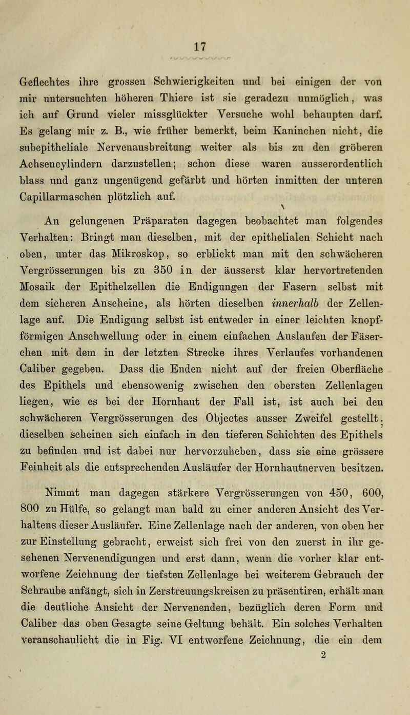 Geflechtes ihre grossen Schwierigkeiten und hei einigen der von mir untersuchten höheren Thiere ist sie geradezu unmöglich, was ich auf Grund vieler missglückter Versuche wohl behaupten darf. Es gelang mir z. B., wie früher bemerkt, beim Kaninchen nicht, die subepitheliale Neiwenausbreitung weiter als bis zu den gröberen Achsencylindern darzustellen; schon diese waren ausserordentlich blass und ganz ungenügend gefärbt und hörten inmitten der unteren Capillarmaschen plötzlich auf. \ An gelungenen Präparaten dagegen beobachtet man folgendes Verhalten: Bringt man dieselben, mit der epithelialen Schicht nach oben, unter das Mikroskop, so erblickt man mit den schwächeren Vergrösserungen bis zu 350 in der äusserst klar hervortretenden Mosaik der Epithelzellen die Endigungen der Fasern selbst mit dem sicheren Anscheine, als hörten dieselben innerhalb der Zellen- lage auf. Die Endigung selbst ist entweder in einer leichten knopf- förmigen Anschwellung oder in einem einfachen Auslaufen der Fäser- chen mit dem in der letzten Strecke ihres Verlaufes vorhandenen Caliber gegeben. Dass die Enden nicht auf der freien Oberfläche des Epithels und ebensowenig zwischen den obersten Zellenlagen liegen, wie es bei der Hornhaut der Fall ist, ist auch bei den schwächeren Vergrösserungen des Objectes ausser Zweifel gestellt, dieselben scheinen sich einfach in den tieferen Schichten des Epithels zu befinden und ist dabei nur hervorzuheben, dass sie eine grössere Feinheit als die entsprechenden Ausläufer der Hornhautnerven besitzen. Nimmt man dagegen stärkere Vergrösserungen von 450, 600, 800 zu Hülfe, so gelangt man bald zu einer anderen Ansicht des Ver- haltens dieser Ausläufer. Eine Zellenlage nach der anderen, von oben her zur Einstellung gebracht, erweist sich frei von den zuerst in ihr ge- sehenen Nervenendigungen und erst dann, wenn die vorher klar ent- worfene Zeichnung der tiefsten Zellenlage bei weiterem Gebrauch der Schraube anfängt, sich in Zerstreuungskreisen zu präsentiren, erhält man die deutliche Ansicht der Nervenenden, bezüglich deren Form und Caliber das oben Gesagte seine Geltung behält. Ein solches Verhalten veranschaulicht die in Fig. VI entworfene Zeichnung, die ein dem 2