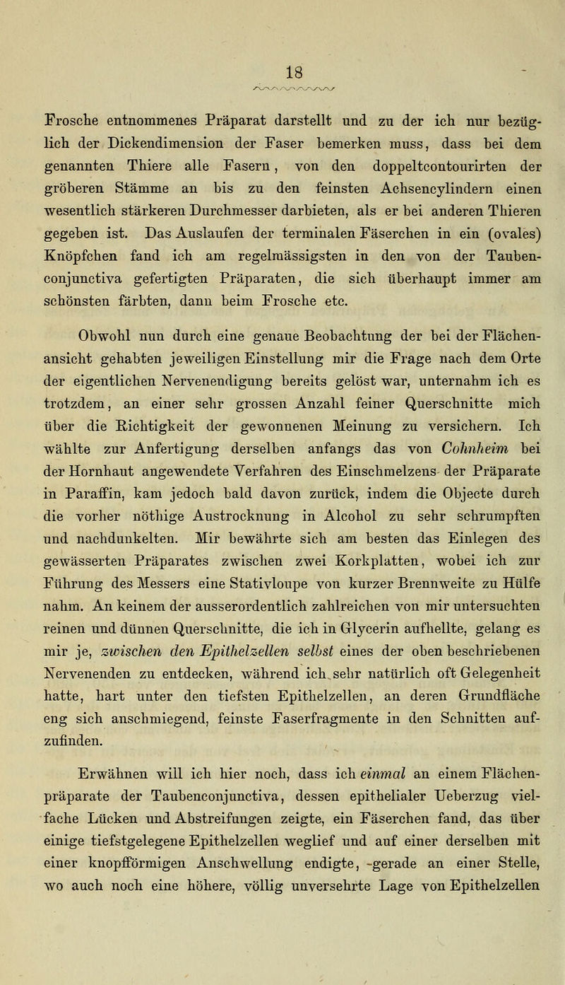 Frosche entnommenes Präparat darstellt und zu der ich nur bezüg- lich der Dickendimension der Faser bemerken muss, dass bei dem genannten Thiere alle Fasern, von den doppeltcontourirten der gröberen Stämme an bis zu den feinsten Achsencylindern einen wesentlich stärkeren Durchmesser darbieten, als er bei anderen Tbieren gegeben ist. Das Auslaufen der terminalen Fäserchen in ein (ovales) Knöpfchen fand ich am regelmässigsten in den von der Tauben- conjunctiva gefertigten Präparaten, die sich überhaupt immer am schönsten färbten, dann beim Frosche etc. Obwohl nun durch eine genaue Beobachtung der bei der Flächen- ansicht gehabten jeweiligen Einstellung mir die Frage nach dem Orte der eigentlichen Nervenendigung bereits gelöst war, unternahm ich es trotzdem, an einer sehr grossen Anzahl feiner Querschnitte mich über die Richtigkeit der gewonnenen Meinung zu versichern. Ich wählte zur Anfertigung derselben anfangs das von Cohnheim bei der Hornhaut angewendete Verfahren des Einschmelzens der Präparate in Paraffin, kam jedoch bald davon zurück, indem die Objecte durch die vorher nöthige Austrocknung in Alcohol zu sehr schrumpften und nachdunkelten. Mir bewährte sich am besten das Einlegen des gewässerten Präparates zwischen zwei Korkplatten, wobei ich zur Führung des Messers eine Stativloupe von kurzer Brennweite zu Hülfe nahm. An keinem der ausserordentlich zahlreichen von mir untersuchten reinen und dünnen Querschnitte, die ich in Glycerin aufhellte, gelang es mir je, zwischen den Epithelzellen selbst eines der oben beschriebenen Nervenenden zu entdecken, während ich sehr natürlich oft Gelegenheit hatte, hart unter den tiefsten Epithelzellen, an deren Grundfläche eng sich anschmiegend, feinste Faserfragmente in den Schnitten auf- zufinden. Erwähnen will ich hier noch, dass ich einmal an einem Flächen- präparate der Taubenconjunctiva, dessen epithelialer TJeberzug viel- fache Lücken und Abstreifungen zeigte, ein Fäserchen fand, das über einige tiefstgelegene Epithelzellen weglief und auf einer derselben mit einer knopfförmigen Anschwellung endigte, -gerade an einer Stelle, wo auch noch eine höhere, völlig unversehrte Lage von Epithelzellen