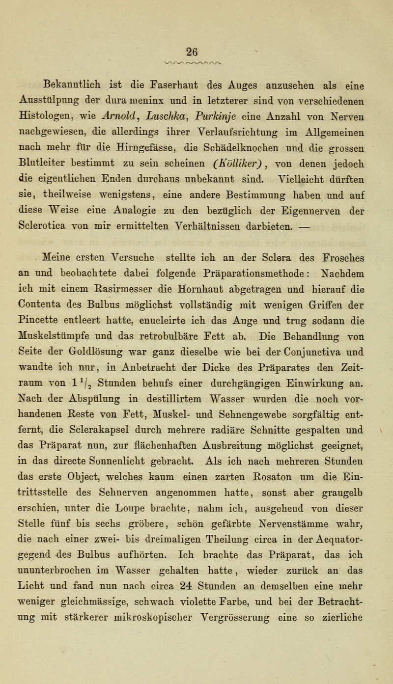 Bekanntlich ist die Faserhaut des Auges anzusehen als eine Ausstülpung der dura meninx und in letzterer sind von verschiedenen Histologen. wie Arnold, Luschka, Purkinje eine Anzahl von Nerven nachgewiesen, die allerdings ihrer Verlaufsrichtung im Allgemeinen nach mehr für die Hirngefässe, die Schädelknocken und die grossen Blutleiter bestimmt zu sein scheinen (Kbttiker), von denen jedoch die eigentlichen Enden durchaus unbekannt sind. Vielleicht dürften sie, theilweise wenigstens, eine andere Bestimmung haben und auf diese Weise eine Analogie zu den bezüglich der Eigennerven der Sclerotica von mir ermittelten Verhältnissen darbieten. — Meine ersten Versuche stellte ich an der Sclera des Frosches an und beobachtete dabei folgende Präparationsmethode: Nachdem ich mit einem Rasirmesser die Hornhaut abgetragen und hierauf die Contenta des Bulbus möglichst vollständig mit wenigen Griffen der Pincette entleert hatte, enucleirte ich das Auge und trug sodann die Muskelstümpfe und das retrobulbäre Fett ab. Die Behandlung von Seite der Goldlösung war ganz dieselbe wie bei der Conjunctiva und wandte ich nur, in Anbetracht der Dicke des Präparates den Zeit- raum von l1/. Stunden behufs einer durchgängigen Einwirkung an. Nach der Abspülung in destillirtem Wasser wurden die noch vor- handenen Reste von Fett, Muskel- und Sehnengewebe sorgfältig ent^ fernt, die Sclerakapsel durch mehrere radiäre Schnitte gespalten und das Präparat nun, zur flächenhaften Ausbreitung möglichst geeignet, in das directe Sonnenlicht gebracht. Als ich nach mehreren Stunden das erste Object, welches kaum einen zarten Rosaton um die Ein- trittsstelle des Sehnerven angenommen hatte, sonst aber graugelb erschien, unter die Loupe brachte, nahm ich, ausgehend von dieser Stelle fünf bis sechs gröbere, schön gefärbte Nervenstämme wahr, die nach einer zwei- bis dreimaligen Theilung circa in der Aequator- gegend des Bulbus aufhörten. Ich brachte das Präparat, das ich ununterbrochen im Wasser gehalten hatte, wieder zurück an das Licht und fand nun nach circa 24 Stunden an demselben eine mehr weniger gleichmässige, schwach violette Farbe, und bei der Betracht- ung mit stärkerer mikroskopischer Vergrösserung eine so zierliche