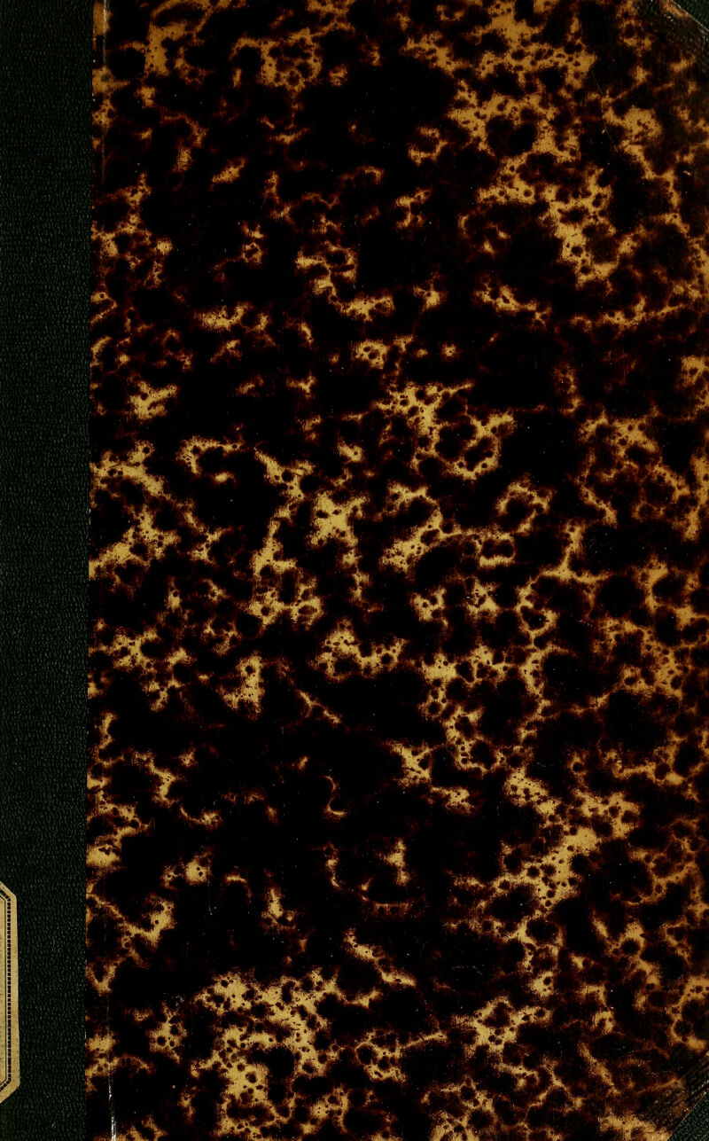  M ^ i '^m<'^. ■^-■\jr «r* ** '*^, ^ n^'Sf- ^:'^^'^, l. 4' :.ft -'% ■%,