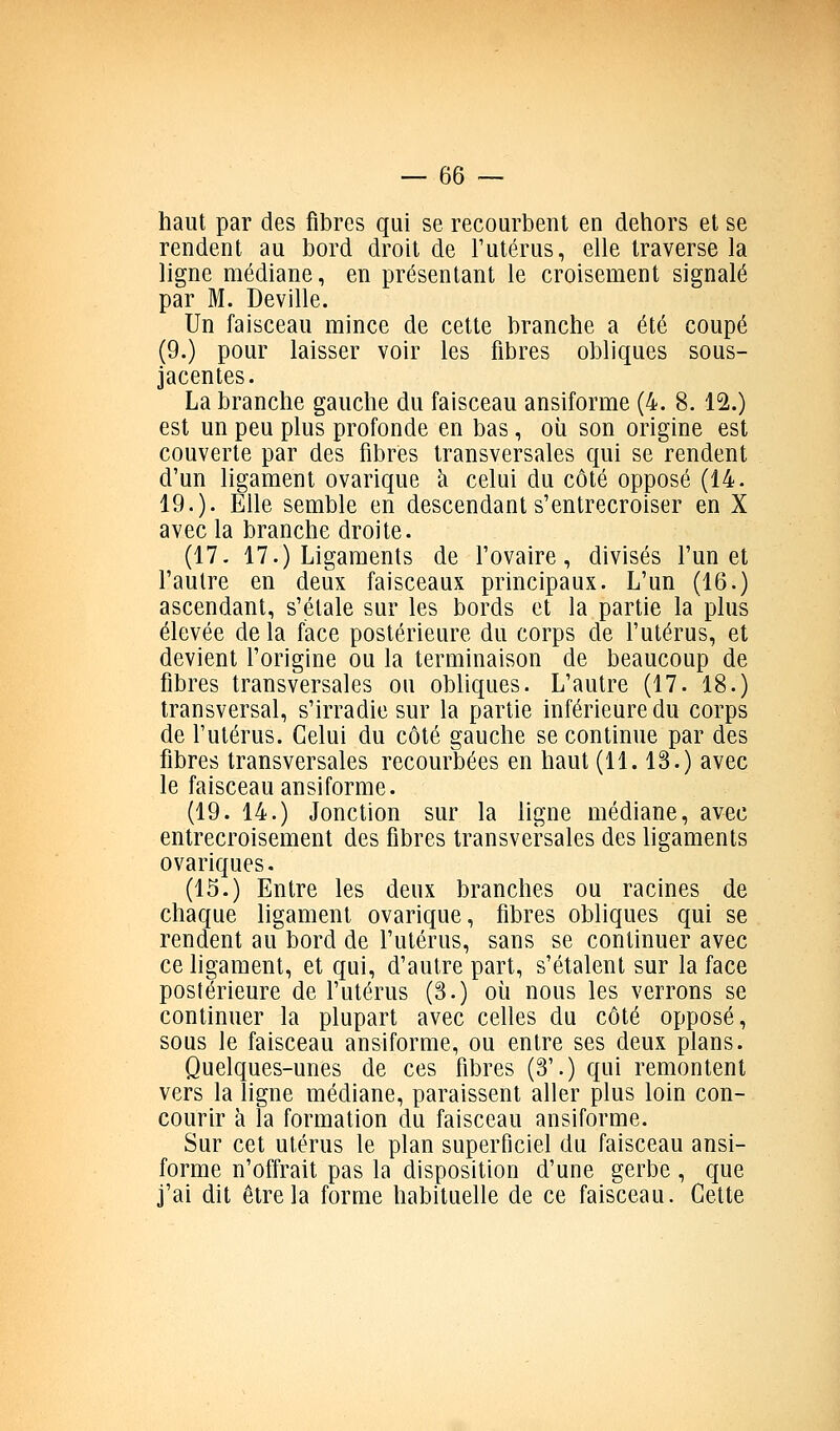 haut par des fibres qui se recourbent en dehors et se rendent au bord droit de l'utérus, elle traverse la ligne médiane, en présentant le croisement signalé par M. Deville. Un faisceau mince de cette branche a été coupé (9.) pour laisser voir les fibres obliques sous- jacentes. La branche gauche du faisceau ansiforme (4. 8. 12.) est un peu plus profonde en bas, où son origine est couverte par des fibres transversales qui se rendent d'un ligament ovarique k celui du côté opposé (14. 19.). Elle semble en descendant s'entrecroiser en X avec la branche droite. (17. 17.) Ligaments de l'ovaire, divisés l'un et l'autre en deux faisceaux principaux. L'un (16.) ascendant, s'étale sur les bords et la partie la plus élevée de la face postérieure du corps de l'utérus, et devient l'origine ou la terminaison de beaucoup de fibres transversales ou obliques. L'autre (17. 18.) transversal, s'irradie sur la partie inférieure du corps de l'utérus. Celui du côté gauche se continue par des fibres transversales recourbées en haut (11.13.) avec le faisceau ansiforme. (19. 14.) Jonction sur la ligne médiane, avec entrecroisement des fibres transversales des ligaments ovariques. (15.) Entre les deux branches ou racines de chaque ligament ovarique, fibres obliques qui se rendent au bord de l'utérus, sans se continuer avec ce ligament, et qui, d'autre part, s'étalent sur la face postérieure de l'utérus (3.) où nous les verrons se continuer la plupart avec celles du côté opposé, sous le faisceau ansiforme, ou entre ses deux plans. Quelques-unes de ces fibres (3'.) qui remontent vers la ligne médiane, paraissent aller plus loin con- courir à la formation du faisceau ansiforme. Sur cet utérus le plan superficiel du faisceau ansi- forme n'offrait pas la disposition d'une gerbe, que j'ai dit être la forme habituelle de ce faisceau. Cette