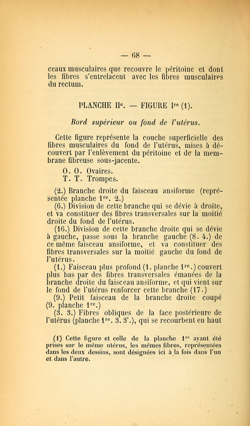 ceaux musculaires que recouvre le péritoine et dont les fibres s'entrelacent avec les fibres musculaires du rectum. PLANCHE II«. — FIGURE I^e (i). Bord supérieur ou fond de l'utérus. Cette figure représente la couche superficielle des fibres musculaires du fond de l'utérus, mises à dé- couvert par l'enlèvement du péritoine et de la mem- brane fibreuse sous-jacente. 0.0. Ovaires. T. T. Trompes. (2.) Branche droite du faisceau ansiforme (repré- sentée planche l'^^. 2.) (6.) Division de cette branche qui se dévie à droite, et va constituer des fibres transversales sur la moitié droite du fond de l'utérus. (16.) Division de cette branche droite qui se dévie à gauche, passe sous la branche gauche (8. 4.) de ce môme faisceau ansiforme, et va constituer des fibres transversales sur la moitié gauche du fond de l'utérus. (1.) Faisceau plus profond (1. planche 1^^.) couvert plus bas par des fibres transversales émanées de la branche droite du faisceau ansiforme, et qui vient sur le fond de l'utérus renforcer cette branche (17.) (9.) Petit faisceau de la branche droite coupé (9. planche 1'''.) (3. 3.) Fibres obliques de la face postérieure de l'utérus (planche l''*^. 3. 3'.), qui se recourbent en haut (1) Cette figure et celle de la planche 1^ ayant été prises sur le même utérus, les mêmes fibres, représentées dans les deux dessins, sont désignées ici à la fois dans l'un et dans l'autre.