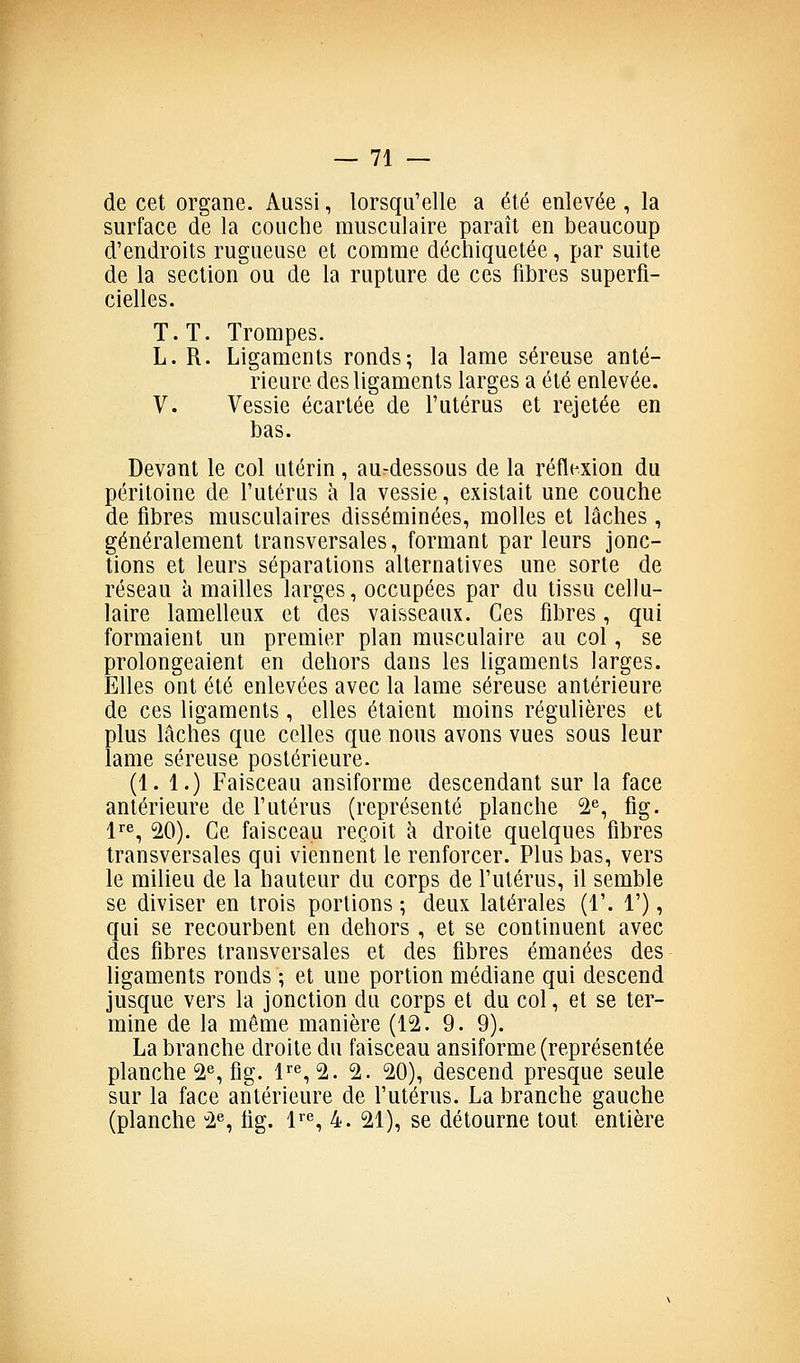 de cet organe. Aussi, lorsqu'elle a été enlevée , la surface de la couche musculaire paraît en beaucoup d'endroits rugueuse et comme déchiquetée, par suite de la section ou de la rupture de ces fibres superfi- cielles. T. T. Trompes. L. R. Ligaments ronds; la lame séreuse anté- rieure des ligaments larges a été enlevée. V. Vessie écartée de l'utérus et rejetée en bas. Devant le col utérin, au-dessous de la réflexion du péritoine de l'utérus h la vessie, existait une couche de fibres musculaires disséminées, molles et lâches , généralement transversales, formant parleurs jonc- tions et leurs séparations alternatives une sorte de réseau k mailles larges, occupées par du tissu cellu- laire lamelleux et des vaisseaux. Ces fibres, qui formaient un premier plan musculaire au col, se prolongeaient en dehors dans les ligaments larges. Elles ont été enlevées avec la lame séreuse antérieure de ces ligaments , elles étaient moins régulières et plus lâches que celles que nous avons vues sous leur lame séreuse postérieure. (1. 1.) Faisceau ansiforme descendant sur la face antérieure de l'utérus (représenté planche 2^, fig. l^, ^0). Ce faisceau reçoit à droite quelques fibres transversales qui viennent le renforcer. Plus bas, vers le milieu de la hauteur du corps de l'utérus, il semble se diviser en trois portions ; deux latérales (1'. 1'), qui se recourbent en dehors , et se continuent avec des fibres transversales et des fibres émanées des ligaments ronds ; et une portion médiane qui descend jusque vers la jonction du corps et du col, et se ter- mine de la même manière (12. 9. 9). La branche droite du faisceau ansiforme (représentée planche 2^, fig. 1^^, 2. 2. 20), descend presque seule sur la face antérieure de l'utérus. La branche gauche (planche 2«, fig. l^, 4. 21), se détourne tout entière