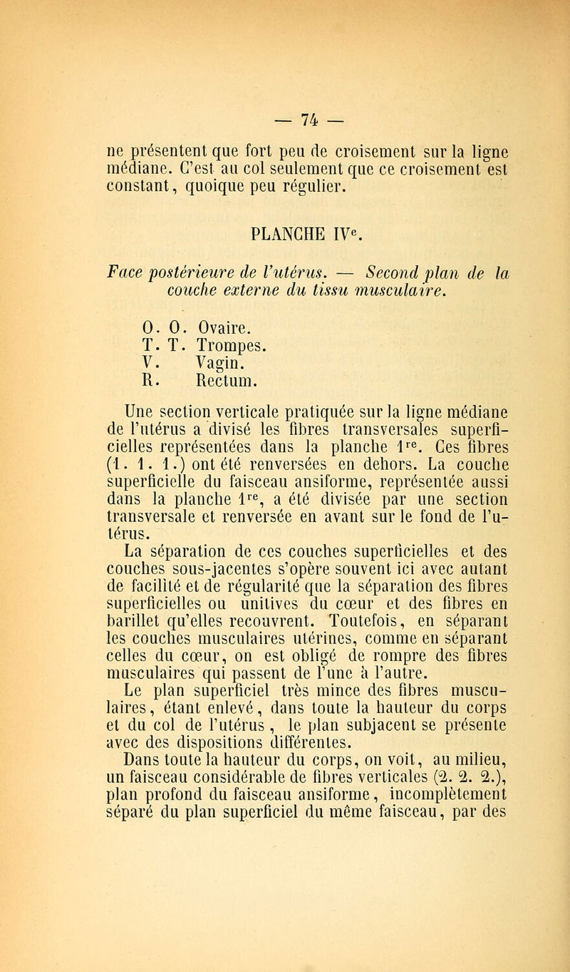 ne présentent que fort peu de croisement sur la ligne médiane. C'est au col seulement que ce croisement est constant, quoique peu régulier. PLANCHE IV«. Face postérieure de l'utérus. — Second plan de la couche externe du tissu musculaire. 0. 0. Ovaire. T. T. Trompes. V. Vagin. R. Rectum. Une section verticale pratiquée sur la ligne médiane de l'utérus a divisé les fibres transversales superfi- cielles représentées dans la planche 1^®. Ces fibres (1. 1. 1.) ont été renversées en dehors, La couche superficielle du faisceau ansiforrae, représentée aussi dans la planche l^^, a été divisée par une section transversale et renversée en avant sur le fond de l'u- térus. La séparation de ces couches superficielles et des couches sous-jacentes s'opère souvent ici avec autant de facilité et de régularité que la séparation des fibres superficielles ou unilives du cœur et des fibres en barillet qu'elles recouvrent. Toutefois, en séparant les couches musculaires utérines, comme en séparant celles du cœur, on est obligé de rompre des fibres musculaires qui passent de l'une à l'autre. Le plan superficiel très mince des fibres muscu- laires , étant enlevé, dans toute la hauteur du corps et du col de f utérus, le plan subjacent se présente avec des dispositions différentes. Dans toute la hauteur du corps, on voit, au milieu, un faisceau considérable de fibres verticales (2. 2. 2.), plan profond du faisceau ansiforme, incomplètement séparé du plan superficiel du même faisceau, par des