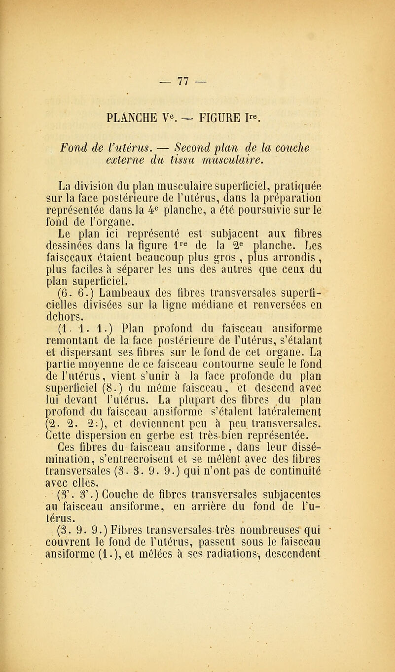 PLANCHE V*^. — FIGURE P^ Fond de l'utérus. — Second plan de la couche externe du tissu musculaire. La division du plan musculaire superficiel, pratiquée sur la face postérieure de l'utérus, dans la préparation représentée dans la 4® planche, a été poursuivie sur le fond de Torgane. Le plan ici représenté est subjacent aux fibres dessinées dans la figure l''^ de la 2« planche. Les faisceaux étaient beaucoup plus gros , plus arrondis, plus faciles k séparer les uns des autres que ceux du plan superficiel. (6. 6.) Lambeaux des fibres transversales superfi- cielles divisées sur la ligne médiane et renversées en dehors. (1. 1. 1.) Plan profond du faisceau ansiforme remontant de la face postérieure de l'utérus, s'étalant et dispersant ses fibres sur le fond de cet organe. La partie moyenne de ce faisceau contourne seule le fond de l'utérus, vient s'unir à la face profonde du plan superficiel (8. ) du môme faisceau, et descend avec lui devant l'utérus. La plupart des fibres du plan profond du faisceau ansiforme s'étalent latéralement (2. 2. 2;), et deviennent peu à peu, transversales. Cette dispersion en gerbe est très bien représentée. Ces fibres du faisceau ansiforme, dans leur dissé- mination, s'entrecroisent et se mêlent avec des fibres transversales (3. 3. 9. 9.) qui n'ont pas de continuité avec elles. (3'. 3'.) Couche de fibres transversales subjacentes au faisceau ansiforme, en arrière du fond de l'u- térus. (3. 9. 9.) Fibres transversales très nombreuses qui couvrent le fond de f utérus, passent sous le faisceau ansiforme (1.), et mêlées à ses radiations-, descendent