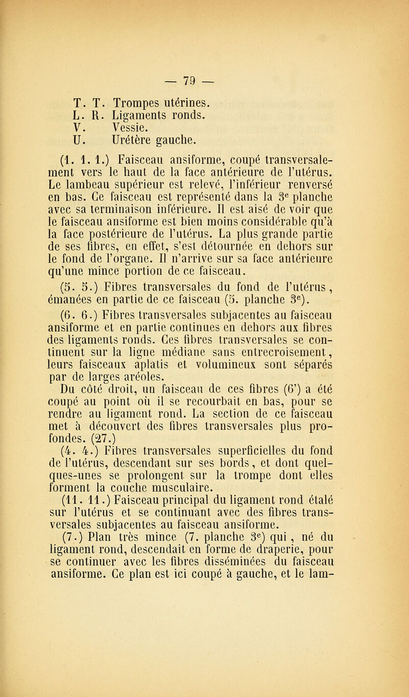 T. T. Trompes utérines. L. R. Ligaments ronds. V. Vessie. U. Uretère gauche. (1. 1.1.) Faisceau ansiforme, coupé transversale- ment vers le haut de la face antérieure de l'utérus. Le lambeau supérieur est relevé, l'inférieur renversé en bas. Ce faisceau est représenté dans la 3® planche avec sa terminaison inférieure. Il est aisé de voir que le faisceau ansiforme est bien moins considérable qu'à la face postérieure de l'utérus. La plus grande partie de ses fibres, en effet, s'est détournée en dehors sur le fond de l'organe. Il n'arrive sur sa face antérieure qu'une mince portion de ce faisceau. (5. 5.) Fibres transversales du fond de l'utérus, émanées en partie de ce faisceau (5. planche S*'). (6. 6.) Fibres transversales subjacentes au faisceau ansiforme et en partie continues en dehors aux fibres des ligaments ronds. Ces fibres transversales se con- tinuent sur la ligne médiane sans entrecroisement, leurs faisceaux aplatis et volumineux sont séparés par de larges aréoles. Du côté droit, un faisceau de ces fibres (6') a été coupé au point où il se recourbait en bas, pour se rendre au ligament rond. La section de ce faisceau met à découvert des fibres transversales plus pro- fondes. (27.) (4. 4.) Fibres transversales superficielles du fond de l'utérus, descendant sur ses bords, et dont quel- ques-unes se prolongent sur la trompe dont elles forment la couche musculaire. (11. 11.) Faisceau principal du ligament rond étalé sur l'utérus et se continuant avec des fibres trans- versales subjacentes au faisceau ansiforme. (7.) Plan très mince (7. planche 3«) qui, né du ligament rond, descendait en forme de draperie, pour se continuer avec les fibres disséminées du faisceau ansiforme. Ce plan est ici coupé à gauche, et le lam-