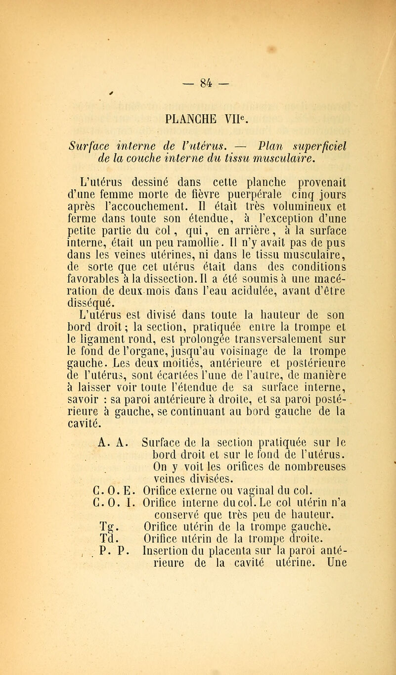 PLANCHE VII^ Surface interne de l'utérus. — Plan superficiel de la couche interne du tissu musculaire. L'utérus dessiné dans cette planche provenait d'une femme morte de fièvre puerpérale cinq jours après l'accouchement. Il était très volumineux et ferme dans toute son étendue, à l'exception d'une petite partie du col, qui, en arrière, à la surface interne, était un peu ramollie. Il n'y avait pas de pus dans les veines utérines, ni dans le tissu musculaire, de sorte que cet utérus était dans des conditions favorables à la dissection. Il a été soumis à une macé- ration de deux-mois dans l'eau acidulée, avant d'être disséqué. L'utérus est divisé dans toute la hauteur de son bord droit ; la section, pratiquée entre la trompe et le ligament rond, est prolongée transversalement sur le fond de l'organe, jusqu'au voisinage de la trompe gauche. Les deux moitiés, antérieure et postérieure de l'utérus, sont écartées l'uue de l'autre, de manière à laisser voir toute l'étendue de sa surface interne, savoir : sa paroi antérieure h droite, et sa paroi posté- rieure à gauche, se continuant au bord gauche de la cavité. A. A. Surface de la section pratiquée sur le bord droit et sur le fond de l'utérus. On y voit les orifices de nombreuses veines divisées. G. 0. E. Orifice externe ou vaginal du col. G.O. I. Orifice interne du col. Le col utérin n'a conservé que très peu de hauteur. Tg. Orifice utérin de la trompe gauche. Td. Orifice utérin de la trompe droite. , . P. P. Insertion du placenta sur la paroi anté- rieure de la cavité utérine. Une