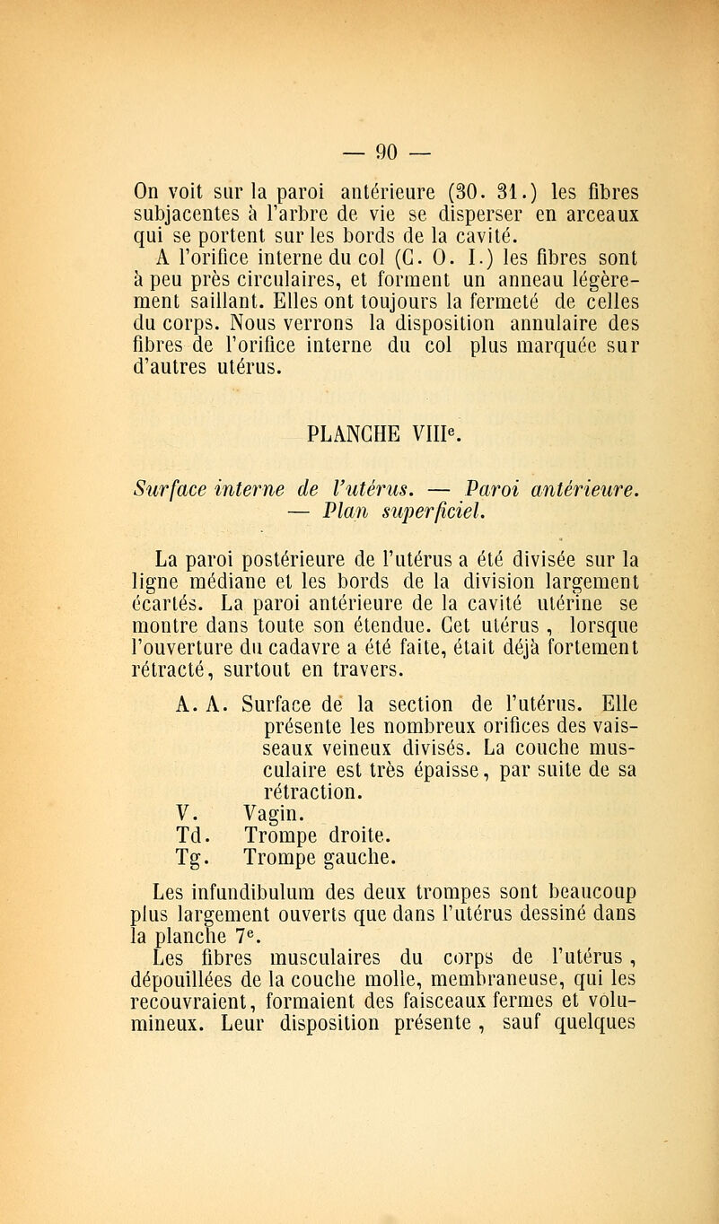 On voit sur la paroi antérieure (30. 31.) les fibres subjacentes à l'arbre de vie se disperser en arceaux qui se portent sur les bords de la cavité. A Torifice interne du col (G. 0. I.) les fibres sont à peu près circulaires, et forment un anneau légère- ment saillant. Elles ont toujours la fermeté de celles du corps. Nous verrons la disposition annulaire des fibres de l'orifice interne du col plus marquée sur d'autres utérus. PLANCHE VHP. Surface interne de l'utérus. — Paroi antérieure. — Plan superficiel. La paroi postérieure de l'utérus a été divisée sur la ligne médiane et les bords de la division largement écartés. La paroi antérieure de la cavité utérine se montre dans toute son étendue. Cet utérus , lorsque l'ouverture du cadavre a été faite, était déjà fortement rétracté, surtout en travers. A. A. Surface dé la section de l'utérus. Elle présente les nombreux orifices des vais- seaux veineux divisés. La couche mus- culaire est très épaisse, par suite de sa rétraction. V. Vagin. Td. Trompe droite. Tg. Trompe gauche. Les infundibulum des deux trompes sont beaucoup plus largement ouverts que dans l'utérus dessiné dans la planche 1^. Les fibres musculaires du corps de l'utérus, dépouillées de la couche molle, membraneuse, qui les recouvraient, formaient des faisceaux fermes et volu- mineux. Leur disposition présente , sauf quelques