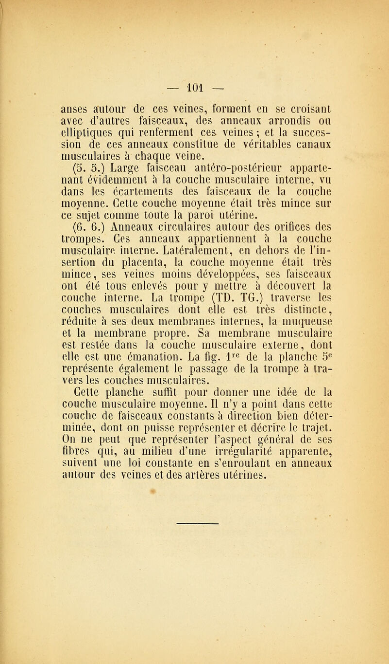 anses autour de ces veines, forment en se croisant avec d'autres faisceaux, des anneaux arrondis ou elliptiques qui renferment ces veines ; et la succes- sion de ces anneaux constitue de véritables canaux musculaires à chaque veine. (5. 5.) Large faisceau antéro-postérieur apparte- nant évidemment à la couche musculaire interne, vu dans les écartements des faisceaux de la couche moyenne. Cette couche moyenne était très mince sur ce sujet comme toute la paroi utérine. (6. 6.) Anneaux circulaires autour des orifices des trompes. Ces anneaux appartiennent à la couche musculaire interne. Latéralement, en dehors de l'in- sertion du placenta, la couche moyenne était très mince, ses veines moins développées, ses faisceaux ont été tous enlevés pour y mettre à découvert la couche interne. La trompe (TD. TG.) traverse les couches musculaires dont elle est très distincte, réduite h ses deux membranes internes, la muqueuse et la membrane propre. Sa membrane musculaire est restée dans la couche musculaire externe, dont elle est une émanation. La fig. l'^'^ de la planche 5^ représente également le passage de la trompe à tra- vers les couches musculaires. Cette planche suffit pour donner une idée de la couche musculaire moyenne. Il n'y a point dans cette couche de faisceaux constants à direction bien déter- minée, dont on puisse représenter et décrire le trajet. On ne peut que représenter l'aspect général de ses fibres qui, au milieu d'une irrégularité apparente, suivent une loi constante en s'enroulant en anneaux autour des veines et des artères utérines.