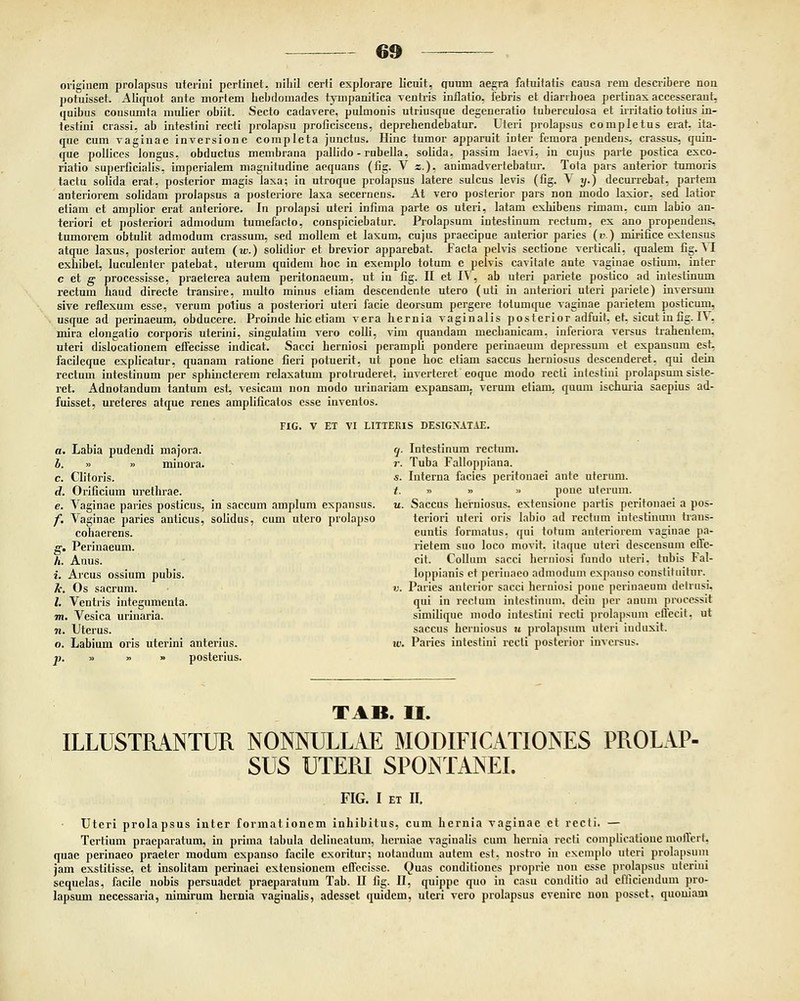 oviginem prolapsus uterini pertinet. nibil certi explorare licuit, quum aegra fatuifatis causa rem describere non potuisset. Aliquot ante irtortem bebtlomades tympanitica ventris inflatio. febris et diarthoea pertinas accesseraut, quibus consumta mulier obiit. Secto cadavere, pulmonis utriusque degeneratio tuberculosa et irritatio totius in- testini crassi, ab intestini recti prolapsu proficiscens, deprehendebatur. Uteri prolapsus completus erat, ita- que cum vaginae inversione completa junctus. Hinc tumor apparuit inter femora pendens, crassus, quin- que pollices longus, obductus membrana pallido - rubella, solida, passim laevi, in cujus parte postica esco- riatio superficialis, imperialem magnitudine aequans (fig. V z.), animadvertebatur. Tota pars anterior tumoris tactu solida crat, posterior magis laxa; in utroque prolapsus latere sulcus levis (fig. \ y.) decurrebat, partem anteriorem solidam prolapsus a posteriore laxa secernens. At vero posterior pars non modo laxior, sed latior etiam et amplior erat anteriore. In prolapsi uteri infima parte os uteri, latam exhibens rimam, cum labio an- teriori et posteriori admodum tumefacto, conspiciebatur. Prolapsum intestinum rectum, es ano propendens, tumorem obtulit admodum crassum, sed mollem et lasum, cujus praecipue auterior paries (v.) mirifice extensus atque lasus, posterior autem (u>.) solidior et brevior apparebat. Facta pelvis sectione verticali, qualem fig. VI exhibet, lucuJentcr patebat, uterum quidem hoc in esemplo totum e pelvis cavitate ante vaginae ostium, inter c et g processisse, praeterea autem peritonaeum, ut in fig. II et IV, ab uteri pariete postico ad intestinum rectum haud directe transire, multo minus etiam descendente utero (uti in anteriori uteri pariete) inversum sive reflexum esse, verum potius a posteriori uteri facie deorsum pergere tolumque vaginae parietem posticum, usque ad perinaeum, obducere. Proinde hic etiam vera hernia vaginalis posterior adfuit. et. sicutinfig. IV, mira elongatio corporis uterini, singulatim vero colli, vim quandam mechanicam. iuferiora versus trahentem, uteri dislocationem effecisse indicat. Sacci herniosi perampli pondere perinaeum depressum et expansum est, facileque explicatur, quanam ralione fieri potuerit, ut pone hoc etiam saccus herniosus descenderet. qui dein rectum intestinum per sphincterem relaxatum protruderet, inverteret eoque modo recti intestiui prolapsum siste- ret. Adnotandum tantum est, vesicam non modo urinariam expansam. verum etiam, quum ischuria saepius ad- fuisset, ureteres atque renes amplificatos esse inventos. FIG. V ET VI LITTERIS DESIGNATAE. a. Labia pudendi majora. q. Intestinum recttun. 0. » » minora. r. Tuba Falloppiana. c. Clitoris. s. Interna facies peritonaei ante uterum. d. Orificium urethrae. t. » » » poue uterum. e. Vaginae paries posticus, in saccum amplum expansus. u. Saccus herniosus, exteusione partis peritonaei a pos- /. Vaginae paries anticus, solidus, cum utero prolapso teriori uteri oris labio ad recttim iutcstinum traus- cohaerens. euntis formatus, qui totum anteriorem vaginae pa- g. Perinaeum. rietem suo loco movit. ilaque uteri descensum ctTe- h. Anus. cit. Collum sacci hcrniosi fundo uteri. tubis Fal- i. Arcus ossium pubis. loppianis et periuaco admodum cxpauso constituitur. A\ Os sacrum. v. Paries anterior sacci herniosi pone perinaeum detrusi, 1. Ventris integumenta. qui in rcctum inlestinuni. deiu per auum processit m. Vesica uriuaria. similique modo intcstini recli prolapsum cffccit. ut n. Uterus. saccus heruiosus u prolapsum utcri iuduxit. o. Labium oris uterini anterius. w. Paries intestini recli posterior inversus. p. » » » posterius. TAB. II. ILLUSTRANTUR NOMULLAE MODIFICATIONES PROLAP- SUS UTERI SPONTANEI. FIG. I et H. Uteri prolapsus inter formationcm inhibitus, cum hernia vaginae et rccti. — Tcrtium praeparatum, in prima tabula delincatum, heruiae vaginalis cum hernia recti complicatioue moffcrt. quae perinaeo praeler modum cxpanso facile exoritur; notaudum autem est. nostro in cxcmplo uteri prolapsum jam exstitisse, et insolitam pcrinaei extcnsioucm effccisse. Quas conditioucs proprie non csse prolapsus uterini sequelas, facile nobis persuadet praeparatum Tab. U fig. II, quippc quo in casu conditio ad efficicndum pro- lapsum necessaria, nimirum hernia vaginalis, adesset quidem, uteri vcro prolapsus evenirc non possct. quouian»