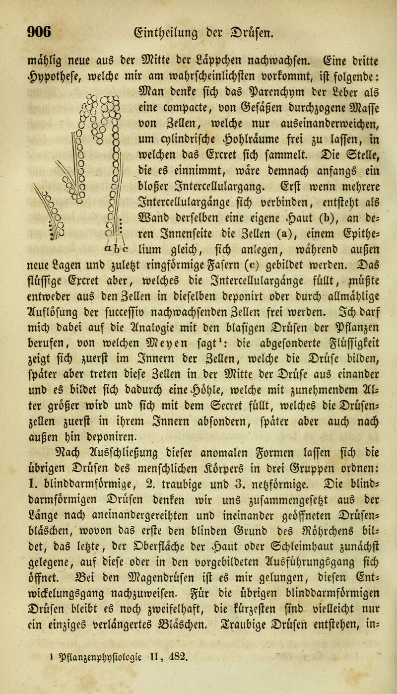 mä^ü^ neue rtu§ ber Witk t>er £:d^^d)en nac()wa(^fen. (Sine britte ^^pot^efe, welche mir am tt?a^rfc()eml{d[)jlen üorfommt, ij^fol^enbe: Tlan bcnfe ftd[) ba^ ^axmd^^m ber ^eber al0 eine compacte, \?on ©cfdgen burcfjjogene 9)lajTe tjon 3eüen, wcld&e nur au6emanbertt)eic^)en, um c^Itnbrifcfte ^of)(rdume frei gu laffen, in wtl(i)m t>aB dxcxä \id) fammelt X)k ©tette, t)k e§ einnimmt, wdre bemnacf) anfangt ein bloger Snterceüulargang. (5rf! wenn mehrere SnterceEulargdngc [ich tjerbinben, entffebt al$ 5Banb berfelben eine eigene ^aut (h), an be^ ten Snnenfeite bie äeüen (a), einem ^pit^e^ lium gleich, fic^ anlegen, wd^renb äugen neue ^agen unb jule^t ringförmige gafern (c) gebilbet werben. X)a$ flujjtge ©]ccret aber, vt)elcbe6 bie SnterceKulargdnge füllt, ^ufte entweber ou6 ben Seilen in biefelben beponirt ober burcb al(mdl)li9C 2Cufl6fung ber fucceffio nadjjwadjfenben Seilen frei werben. Scb barf micb babei auf \>k 2(nalogie mit ben blaftgen Brufen ber ^flanjen berufen, t)on weldjen 5[}?et)en fagt*: bie abgefonberte glüffigfeit jeigt fiel) ;iuerjl im Snnern ber Seilen, weld[)e bie ^rüfe bilben, fpdter aber treten biefe Bellen in ber WitU ber :©rufe auS einanber unb eS biibet ftcb baburcl() eine ^ot)le, welcbe mit junebmenbem ZU ter groger wirb unb ftcb mit bem beeret füllt, welcbe^ bie^rufen^ jeden juerji in il)rem Snnern abfonbern, fpdter aber auc& nad^ außen bin beponiren. S^acb 2(u§fcbliegung biefer anomalen gormen laffen ftd) bie übrigen 2^rufen beS menfcl()l{cben Ä6rper6 in brei Gruppen orbnen: 1. blinbbarmformige, 2. traubige unb 3. ne^formige. ^ie blinb^ barmformigen £)rüfen benfen wir unö gufammengefe^t au^ ber toge nad) aneinanbergereiljten unb ineinanber geöffneten ^rüfen^ bldgcben, wot>on ^a^ erfle ben blinben ®runb be6 9?ol)rd)eng bils M, ba§ le^te, ber Dberfldcbe ber ^aut ober ©cbleimbaut jundcbjl gelegene, auf biefe ober in ben öorgcbilbeten 2fugfüt)rungögang ftd^ öffnet. S5ei ben 9}?agenbrüfen ift e6 mir gelungen, biefen ^nU wi(felungggang nacf)5uweifen. gur bie übrigen blinbbarmformigen Prüfen bleibt eg nodj) jweifell)aft, bie fürjejlen ftnb öielleicbt nur ein einjigea verlängertes S3ldS4)en. Sraubige Prüfen ent|!ef)en, in^ i ^flanjenpl)t)fiol09ie II, 482.