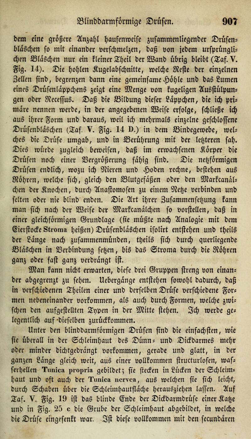 SStinbbarmformige Prüfen. 90t bcm eine gtogere 2(njaf)( l^aufenwetfe jufammenlieöenbei: ^^rufcn^ blä$d)tn fo mit einanbcr t)erfcl)mel5en; bog üon icbem urfprunglU (i)m Sldöd&en nur ein ftemer Z^dl bcr SBanb übrig bleibt (S^af. V. §ig. 14). ^te ]j)olE)(en Äuöelabfcbnitte, n)cld[)e 9?e|le ber einzelnen Seilen ftnb, begrenzen bann tm gemeinfame v^6l)le unb ba6 2umen eineg ^rufenldppcl)en§ jeigt eine SD^enge tjon fugeligen 2fu6jiul^)um gen ober ^ecefju^. ^ag bie Silbung biefer ^dppcben, t>k ic6 ^rt^ mdre nennen werbe, in ber angegebenen SBeife erfolge, fliege xä) au§ il)rer gorm unb barauS, weil id) mel)rmal6 einzelne gefcbloffene £>rüfenbld6cl)en (Slaf. V. gig. 14 D.) in t)im S3inbegett)ebe, wel:: d[)e6 bie Drüfe umgab, unb in S5eru|)rung mit ber le^teren fa^. X>k^ würbe jugleicb bewetfen, t)a^ im erwadjfenen Äorper t)k Brufen nocb einer Sergroferung fdl)ig ftnb. ^ie ne^formigen Brufen enblid^, wogu id^ S^Zieren unb ^oben rcdjne, bejlel)en au§ 9?6l)ren, welc^ie flc^, gleic|) ben S5lutgefdgen ober ben !9?arfcandls eben ber Änocben, burcb 2(na)!omofen ju einem S'Ze^c üerbinben unb feiten ober nie bltnb enben. ^ie 2lrt t^rer Sufammenfe^ung fann man ftd? nad) ber SBeife ber SJ^arfcandlcben fo üorftellen, \>a^ in einer gleicbformigen ©runblage (fte mugte nac& 2lnalogie mit t)cm ^ierflode Stroma l^eigen) ^rufenbldSd)en ifolirt entflel^en unb ti)e\l$ ber Sdnge nad) jufammenmunben, t^eil^ ftcb burd[) querliegenbe SldSc|)en in 23erbinbung feigen, biS \)Ci$ ©troma burc^ t>k IRol^ren ganj ober faj! ganj üerbrdngt \% Wim Fann nidbt erwarten, biefe brei ©ru^^en jlreng öon einan- ber abgegrenzt ju feben. Uebergdnge entj!el)en fowobl baburcb, ^a^ in üerfcbiebenen 3!f)eilen einer unb berfelben i^rüfe üerfcljiebene gor^ mtn nebeneinanber üorfommen, al6 aucl) burcb Sormen, welche jwi^ fd)en ben aufgejtellten 2!t)^en in ber SDiitte jle^en. Sd) werbe ge^ legentlicb auf-biefelben jurudfommen. Unter ben blinbbarmformigen 3)rüfen finb bie einfad[)jlen, wie fte überall in ber @d)leiml}aut bc§ Dünn? unb DidPbarme^ mel^r ober minber bid)tgebrdngt üorfommen, gerabe unb glatt, in ber ganzen Sdnge gleid) weit, auö einer üoUfommen firucturlofen, wafs ferbellen Tunica propria gebilbet; fte j^eden in Süden ber ©cbleim« );)ant unb oft and) ber Tunica nerTea, Ciu§ welchen fte ftcb leid)t, burcb ©cbaben über bie ©cbleimbautfladje ^cxan^it^cn laffen. 2(uf 2af. V., gig. 19 ij^ t>a^ blinbe ^nbe ber Didbarmbrüfe einer Äa^c unb in gig. 25 c bie ©rube ber @d)leiml)aut ah^^hil'Oit, in weldbe bie Drüfe cingefenft war. Sft biefe üoUfommen mit ben fecunbdren