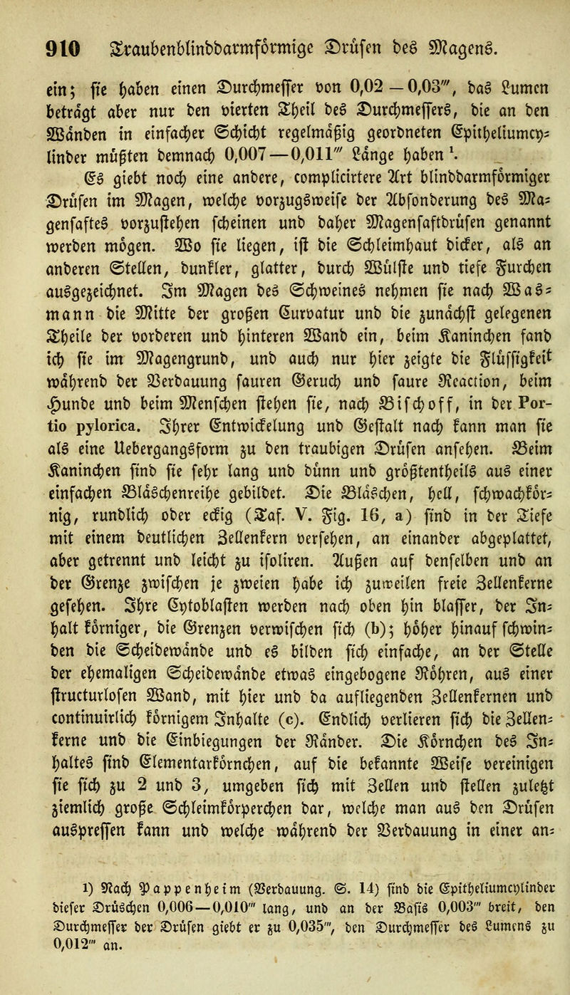 ein; fte f)abm etncn £»urdS)mefrer t)on 0,02-0,03', bag turnen Ijetrdgt aber nur fcen vierten 3^()eil t)e6 £)urc^meffer0, bic an bcn SBdnben in einfadjer ®d)td)t regermd^ig georbneten ^pitl)eltumc95 Imber mußten bemnacfe 0,007—0,011' Un^e ^ahm'. a^ Qtebt nod) eine anbere, compltcirterc 2(rt blinbbarmformtöer £)nifen im fD^agen, n)eld)e üorjugSweife ber ^(bfonberung be6 9J?a- genfafteS t)or5u|le()en fcbeinen unb ba^er SJ^agenfaftbrüfen genannt werben mögen. Sßo fte liegen, ijH bie @d^leiml)aut birfer, al^ an anbeten ©teilen, bunfler, glatter, burcb 2Bül|!e unb tiefe gurcben auSgegeicbnet. Sm SKagen be» (Bä)m\i\t^ ne()men ffe nad) SBa^- mann bie SJJitte ber großen ßurüatur unb bie jundct)ft gelegenen Sl)eile ber üorberen unb l)interen Sßanb ein, beim Äanincl)en fanb td) ffe im 9}?agengrunb, unb aucb nur ^ier jeigte bie SlwfPg^^i^ wd^renb ber 33erbauung fauren dJerud) unb faure 9?eaction, Ulm vf)unbe unb beim 9)?enfd)en jlel)en fte, nacb S3ifd?off, in ber Por- tio pylorica. Sl)rer ^ntn)i(felung unb ©ejTalt m<i) fann man fte aU eine Uebergang^form ^n ben traubigen i^rufen anfe^en. S5eim Äaninc^jen ftnb fie fel)r lang unb bunn unb grogtent|)eil0 au§ einer cinfac|)en ^ldgd)enreil)e gebilbet. £5ie ^Id^djen, l^cll, fcbtt)ad)!ori: nig, runblid) ober ed^ig (3:af. V. gig. 16, a) ftnb in ber 3:iefe mit einem beutlic^en äellenfern t)erfel)en, an einanber abgeplattet, aber getrennt unb leicbt ju ifoliren. 2lußen auf benfelben unb an ber ©renje jtrifcben je gweien 'i)aU icb jutreilen freie Sellenferne gefe]f)en. Sl)re ßt)tobla|!en werben nacb oben ^in blaffer, ber Sn^ ]S)alt formger, bie ©renken t?ertt)ifd)en ftdb (b); b^fjer l)inauf fcbvüin- ben bie ©cbeibewdnbe unb e§ bilben ft'cl) einfache, an ber ©teile ber e|)emaligen ©cbeibewdnbe ^tvoa^ eingebogene S^o^ren, auS einer jlructurlofen SBanb, mit l)ier unb \^a aufliegenben Sellenfernen unb continuirlidS) fornigem Snl)alte (c). ^nblid) verlieren fte!) bie Seilen^ ferne unb bie Einbiegungen ber 9?dnber. ^ie ^orndben be§ Sn^ f)altea finb Elementarforncben, auf bie befannte 2Betfe vereinigen fte ftcb ju 2 unb 3, umgeben fic^ mit Seilen unb jlteüen julei^t jiemlicb große ©cl)leim!6r)3ercben bar, wcldje man au6 ben Prüfen auSpreffen fann unb n)eld[)e «)dl)renb ber 23erbauung in einer an- 1) s«ae^ ^appen^etm (SSerbauung. (S. 14) ftnb bie ©ptttjeltumc^linbec biefec ©rüäc^en 0,006—0,010' lang, unb an ber SSaftg 0,003' bvdt, ben 2)urc^meJTes: ber 25rüfen gtebt er gu 0,035', ben Surc^melTer beö Sumcng ju 0,012' an.