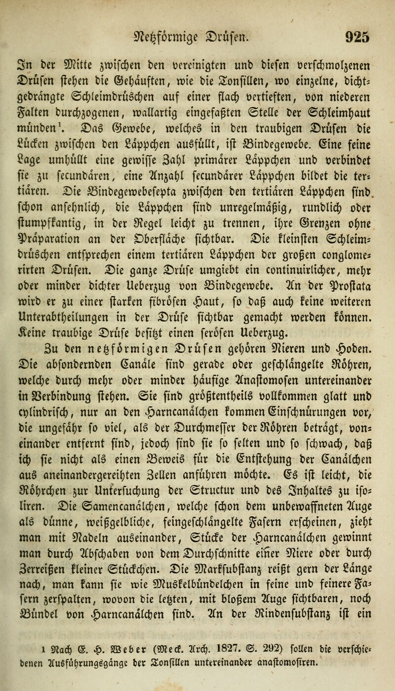 Sn ber Wük jwifd&en ben üerctnigten unb tiefen tjerfdbmotscnen Prüfen j!e|)en tie ©efeduftcn, wie bie Sonfillen, wo etnjelne, bid^t^ ^ebrdngte ©d;(cimbru6d)en auf einer flad[) vertieften, üon nieberen galten burd[)309enen, wallartig eingefaßten ©teile ber ®d)leim^aut munben\ ^a§ ©ewebe, welc()e§ in ben traubigen 3^rufen btc ßucfen jwifc^ien ben ßdppcljen auffüllt, ijl S5inbegewebe. ©ine feine ^age uml)üllt eine gewiffe 3al)l iprimdrer 2dppc|)en unb üerbinbet fte 5u fecunbdren, eine 2(n5a^l fecunbdrer ßdppdjen bilbet bie ter-. tidren. ^k ^inbegewebefepta jwifc^en ben tertidren £dppd[)en ftnb. fd)on anfefenlicl), bie iä)(i)pd)in ffnb unregelmdgig, runblidj) ober jiumpffantig, in ber 9?egel k[ä)t ju trennen, il)re ©renken o^ne ?)rdparation an ber ^berfldc!)e fii^tbar. X)k fleinjlen @c!)leim- bru6cl)en entfpredben einem tertidren 2dppcl[)en ber großen conglome^ rirten Brufen. X)k ganje ^rufe umgiebt ein continuirlidjer, mel^r ober minber bidjter Ueber5ug öon föinbegewebe. 2(n ber ?)rof[ata wirb er ju einer jlarfen fibrofen <^aut, fo ^a^ and) feine weiteren Unterabt^eilungen in ber £)rufe ftcljtbar gemad)t werben fonnen. Äeine traubige ^rufe bcff^t einen ferofen Uebergug. 3u ben neiförmigen :3;)rufen geljoren ^Jiieren unb .^oben. X)k abfonbernben handle ffnb gerabe ober gefd[)ldngelte dibt)xm, weld()e burd) mt\)x ober minber Ijdufige 2lnajlomofen untereinanber in SSerbinbung jle^en. ®ie ftnb grogtentbet(§ üollfommen glatt unb c^linbrifdb, nur an ben ^arncandldjen fommen (Stnfct)nurungen t)or, bie ungefdl)r fo viel, al6 ber £)urdbmef|'er ber9?6l)ren betrdgt, üons einanber entfernt ffnb, iebod) ffnb ffe fo feiten unb fo fcbwadb, bag tc{) ffe nidjt aU einen S5ewet6 für h'it ©ntjlefjung ber (laudieren au§ aneinanbergereil)ten Seilen anfül)ren m6ct)te. ©6 tj^ leidjt, i>k 9?6l)r*en 5ur Unterfucbung ber <Structur unb be§ Snl)alte§ ju ifo^^ liren. ^ie ©amencandldjen, weldS)e fd&on bem unbewaffneten 2luge al6 bunne, weif gelbliche, feingefcbldngelte gafern erfd[)einen, }ik^t man mit S^abeln au^einanber, ©tüde ber vg)arncandlcben gewinnt man burc^ 2£bfcbaben von bem ^urd^fcbnitte einer S^Ziere ober burc^ 3erreigen Heiner ©tudEdjen. ^ie 50?arffubflanj reigt gern ber 2dnge nad), man fann ffe wie 9)?ugfelbünbelcben in feine unb feinere ga^ fern jerfpalten, wovon bie legten, mit bloßem ^Tuge ffj^tbaren, nocfe ^ünbel von ^arncandld)en ffnb. 2ln ber 3fJinbenfubjIan§ ifi dn 1 s«od^ ®. JQ. SBe6er («JRccf. Uta). 1827. ©. 292) foUen bte ocrf^i'e* tenen ^(uSfu^rung^ödnge ter Sonfillm unttveinonter anojiomofiren.