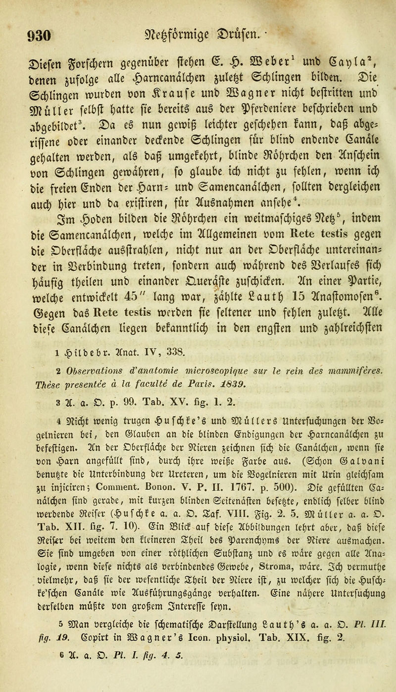 liefen gorfd)crn öegenuber M^ ^- ^- SBebcr' unb (Iavla% bcnen jufolge alle ^arncandldjen jule^t ©djtingen bilben. £)ic ©cfelmQen würben üon Traufe unb SBagner nidjt beftrittm unb TlixUtx fetbjl i^atte fte bereits auS ber 9)ferbeniere befd5)rieben unb abgebilbet'. Da eä nun gewig leid)ter gefdjeben fann, bag abge^ riffene ober einanber bedenbe ©i^ltngen für blinb enbenbe handle gei)alten vüerben, aU bag umQdti)xt, blinbe 9?o^rcben ben 2(nfd)em t)on ©cblingen 9en)d()ren, fo glaube tcb nici)t ju fehlen, wenn tc^ bie freien @nben ber|)arn= unb (Samencandlcl)en, follten ber9leic|)eti aud) l^ier unb ba erfjliren, für 2luSna^men anfe()e*. Sm ^oben bilben bie 9?ol)rd()en ein weitmafdjigeS 9^e^% tnbem bie <Samencandld)en, welche im 2(llgemeinen üom Rete testis gegen bie Dberfldcbe auSjlrablen, md)t nur an ber Dberfldd)e untereinan^ ber in SSerbtnbung treten, fonbern au^ wdl)renb beS SSerlaufeS ftd) i)duft9 tl)ei(en unb einanber Cluerdpe jufd^itfen. Zn einer 9)artie, welcbe entwiifelt 45 lang war, jdtjlte 2aut][) 15 2(naj!omofen®. ©egen bag Rete testis werben fte feltener unb fe!)len jule^t. 2llle biefe ßandlc|)en liegen befanntlic^ in ben engjlen unb ja^lreii^pen 1 ^ilbcbr. 3Cnat. IV, 338. 2 Ohservations d'anatomie microscopique sur le rein des mammiferes. These presentee ä la faculte de Paiis. 1S39. 3 2C. a. D. p. 99. Tab. XV. fig. 1. 2. 4 gfJic^t wenig trugen .^ufd^fe'ö unb SOJüüerS Unterfuc^ungen ber SSos getnieren bei, ben ©tauben an bi'e blinben ©nbigungen ber »^arncand(d)en ju befeftigen. 7tn ber SDberfldc^e ber Spieren jeic^nen fid^ hk (5andtcl)en, wenn fte üon «^arn ongefüUt ftnb, burd^ {(jre «?ei^e ^arbe auö. (@c^on ©aloant benu^te bfe Untcrbinbung ber Ureteren, um bk SJogetnteren mit Urin gleic^fam ju iniiciren? Comment. ßonon. V. P. II. 1767. p. 500). ©te gefüUten ©a- ndtd^en ftnb gerabe, mit furjen blinben (Seitendjten befe|te, enbtic^ felber blinb werbenbe Steifer (J^ufc^fe a. a. D. Saf. VIII. gig. 2. 5. SDiüller a. a. O. Tab. XIT. fig. 7. 10). ©in SSlicf auf biefe 2(bbi!bungen le^rt aber, ba^ biefe 9?eijier M weitem ben kleineren S^eil beS ^arend^i^mä ber Spiere aufmalen, ©ie ftnb umgeben üon einer r6tt)lic^en ©ubjlanj unb eö wdre gegen alle 2fna: logie, wenn biefe nii^tö alg oerbtnbenbeö ©ewebe, Stroma, mdre. 3^ üermutl)e oielmel)r, ba^ fte ber wefentlid^e Sbeil ber Spiere ifi, ju welct;er ftc^ bie v&ufc^- fe'fc^en Sandle xok 3(ugfül)rungögdnge üerl)alten. @ine ndl)ere Unterfue^ung berfelben müpte üon großem Sntereffe fet)n. 5 SCfJan oergleid^e bie fd^ematifc^e Sarftellung ßauti^'S a. a. O. PL III fig. i9. ßopirt in Sßagner'g Icon. physiol. Tab. XIX. fig. 2. 6 %. a. D. P^ /. (ig. 4. 5.