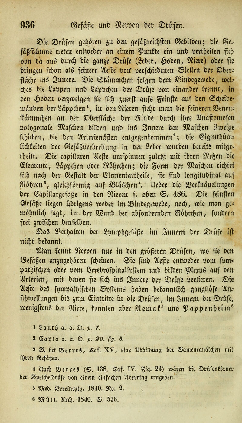 ^te Stufen geboren ju ben gefdgretci^fien ©ebitben; bie ®e^ fdgjlamme treten entweber an einem 9)unfte ein unb üert{)etlen ftc^ üon ba aug burd^ bie ganje ^rüfc (Seber, ^oben, Siliere) ober ffe bringen fc^on ai$ feinere 2Cej!e üon' t)erfc^tebenen ©teilen ber ^Dber:; fldc]j)e tn6 Snnere. ©ie @tdmmd[)en folgen bem Sinbegeraebe, wel^ (i)e§ bie ßap^en unb 2dppdS)en ber ^rufe t)on cinanber trennt, in t)cn v^oben oer^wetgen ffe ftc() juerfl öuf6 geinjlte auf htn ©cfjeibe- wdnben ber Sdppdjen \ in ben Vieren \üi)t man bte feineren SSenen^ ftdmmd^en an ber Dberfldd^e ber 9?inbe bmdi) t^re 2(najlomofen ipolpgonalc SJ^afcben bilben unb tn§ Snnere ber SJ^öfdjen 3«>etgc ^ä)\dm, bie ben 2(rteriendj!en entgegenfommen*; bie (Sigent^üm- lid)feiten ber ©efdgöerbreitung in ber ßeber würben bereite mitge^: tf)ei(t. ^ie capißaren ^Tejle umfpinnen jule^t mit i^ren S^le^en bie (Elemente, Mppd)m ober 9?o^rcben; tk gorm ber 9}?afc|)en ridS)tet ftd() md) ber ©ejlalt ber ^lementart^eile, fte fmb (ongitubinal auf 9?o^ren% gleid)formig auf S3ldSdS)en*. lieber bie SSerfnduelungen ber (5apillargefdpe in ben Silieren f. oben @. 486. ^ie feinjlen ©efdge liegen übrigeng n^eber imS3inbegett)ebe, noc&, wie man ge* wo^nlid^ fagt, in ber SBanb ber abfonbernben 9?6^rc|en, fonbern frei 5wifd[)en benfelben. ©a6 23er^alten ber ßt)mj)^gefdge im Snnern ber ^rüfe ijl niä)t befannt. ^an fennt 9?erüen nur in ben größeren S)rüfen, wo fte ben ©efdgen anzugehören fc()einen. @ie ftnb 2(ej!e entweber t)om f^m=s |)at&ifc^en ober üom (5erebrofpinalft)j!em unb bilben ^Uxn$ auf ttn 2lrterien, mit benen fte ftd^ ing Snnere ber £)rüfe verlieren. £)ie 2lej!e be6 ft)mpat|)ifdS)en (SpjUemg |)aben be!anntlicl[) gangltofe ^Tn^ fc{)weEungen big jum Eintritte in bie Prüfen, im Snnern ber£)rufe, wenigjleng ber Siliere, fonnten aber fRtmaV unb ?)ap:penl^eim^ 1 SautI) a. a. Ö. p. ?. 2 (Sapta a. a. £). ^ -^5. fig, 3. 3 ©. bei SSerreö, Saf. XV, eine ^(bMlbung ber ©amencandld^en mit ii)un ©efdpen. 4 ^adi) 35 er res (@. 138. Saf. IV. gtg. 23) waren bie ©rufen?6rner ber ©pei^elbrufe üon einem einfadjen 2Cberrin9 umgeben. 5 sjKet). SSereins^tg. 1840. STJo. 2. 6 WtüiU -Ktdc), 1840. (S. 536.