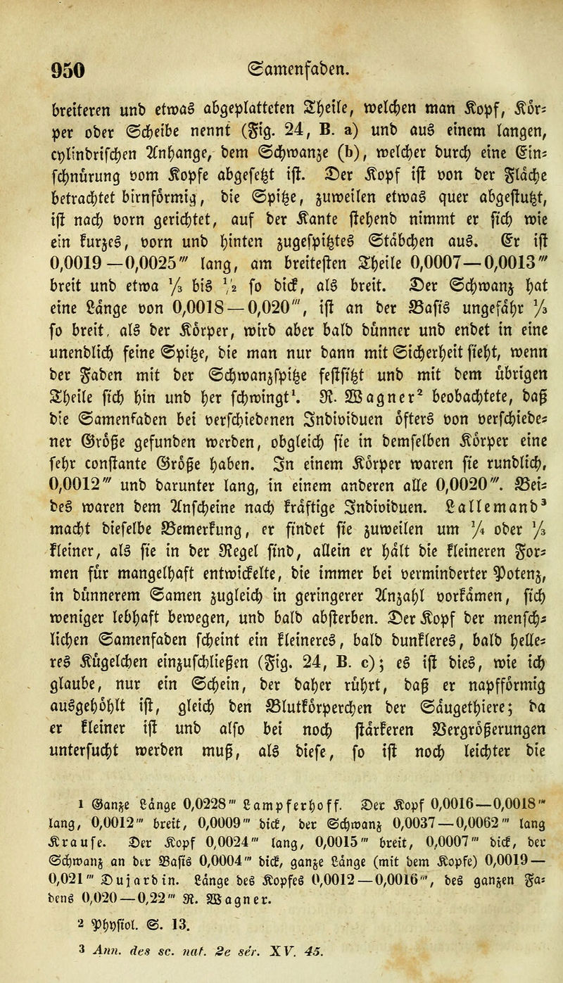 breiteren unb cttoaB abgeplatteten Zt)t\U, welken man Äo^)f, Kör- per ober ©cbetbe nennt (gi'g. 24, B. a) unb au6 einem langen, ci)linbrifd)en 2Cn^an9e, bem (Bä)voan^t (b), tt)eld)er burc^ eine (iin- fd[)nurun9 öom ^opfe abgefegt tjl. ^er Äo^f ijl t)on ber ^la(i)t betradS)tet bim förmig, bie ©pi^e, juweilen ctxüa§ quer abgeftu^t, tjl nad) üorn gericbtet, auf ber Äante jlebenb nimmt er ftcb wie ein furjcg, üorn unb l)inten gugefpi^tea ©tdbcben au§. ©r ij! 0,0019-0,0025''' lanQ, am breitejlen 2;f)e{re 0,0007—0,0013' breit unb etrva '/a bi§ V» fo bicf, alä breit, ^er <B(^voan^ ^at eine Sdnge üon 0,0018 — 0,020', ift an ber S5afi§ un9efal)r /a fo breit, aB ber Äorper, wirb aber balb bunner unb enbet in eine unenblid^ feine ®pi^e, t>k man nur bann mit ©id^er^eit fte^t, wenn ber gaben mit ber ©c^wanjfpi^e feftfi^t unb mit bem übrigen Zi)nU ftcb bin unb \)ix fcbwingt'. fR. SBagner'^ beobachtete, ^a^ bie ©amenfaben hei üerfcbiebenen Snbit)ibuen ofterS öon öerfcbiebe^ ner ©roge gefunben werben, obgleich fte in bemfelben ^or^)er eine febr conftante (Broge b^ben. Sn einem Äorper waren fte runblicb, 0,0012' unb barunter lang, in einem anberen alle 0,0020'''. S5ei^ be§ waren bem ^Tnfcljeinc nacb frdftige Snbioibuen. Sallemanb' mad)t biefelbe Bemerfung, er finbet fte juweilen um y* ober /a Heiner, al$ fte in ber 9?egel ftnb, allein er l)dlt t)k Heineren gor^ men für mangelhaft entwickelte, bie immer bei üevminberter ^otenj, in bunnerem (Samen jugleicb in geringerer 2Cn5a^l üorfdmen, ftrf) weniger lebhaft bewegen, unb balb abjlerben. £5erÄopf ber menfd^^ licl)en ©amenfaben fcbeint ein fleinercö, balb bun!lere§, balb b^He^ reg Äugelcben einjufcbliegen (gig. 24, B. c); eä ijl bieg, wie \<i) glaube, nur ein (Schein, ber baber rübrt, bag er napfformig oüggeboblt i|t, gleicb ben 58lutf6rpercben ber ©dugetbiere; ba er fleiner ift unb alfo bei nodS) jidrferen SSergrogerungen unterfu4)t werben mug, al6 biefe, fo ijl nocf) leicbter bie 1 ©ans^e ednQc 0,0228' Campfer^off. ©et Äo))f 0,0016—0,0018' lang, 0,0012' hvdt, 0,0009' biet, ber ©c^icanj 0,0037 — 0,0062' lang Traufe, ©er Äopf 0,0024' lang, 0,0015' breit, 0,0007' tief, ber @c^n?anj an btr 93aftS 0,0004' hi(£, gan^e Sdnge (mit htm Äo)>fe) 0,0019 — 0,021' ©ujarbin. ßange be6 Äopfeö 0,0012 — 0,0016', be§ ganzen ga* beng 0,020—0,22' 9?. SBagner. 2 '^moi @. 13. 3 Atm. des sc. ?iat. Se sei: XV. 45.