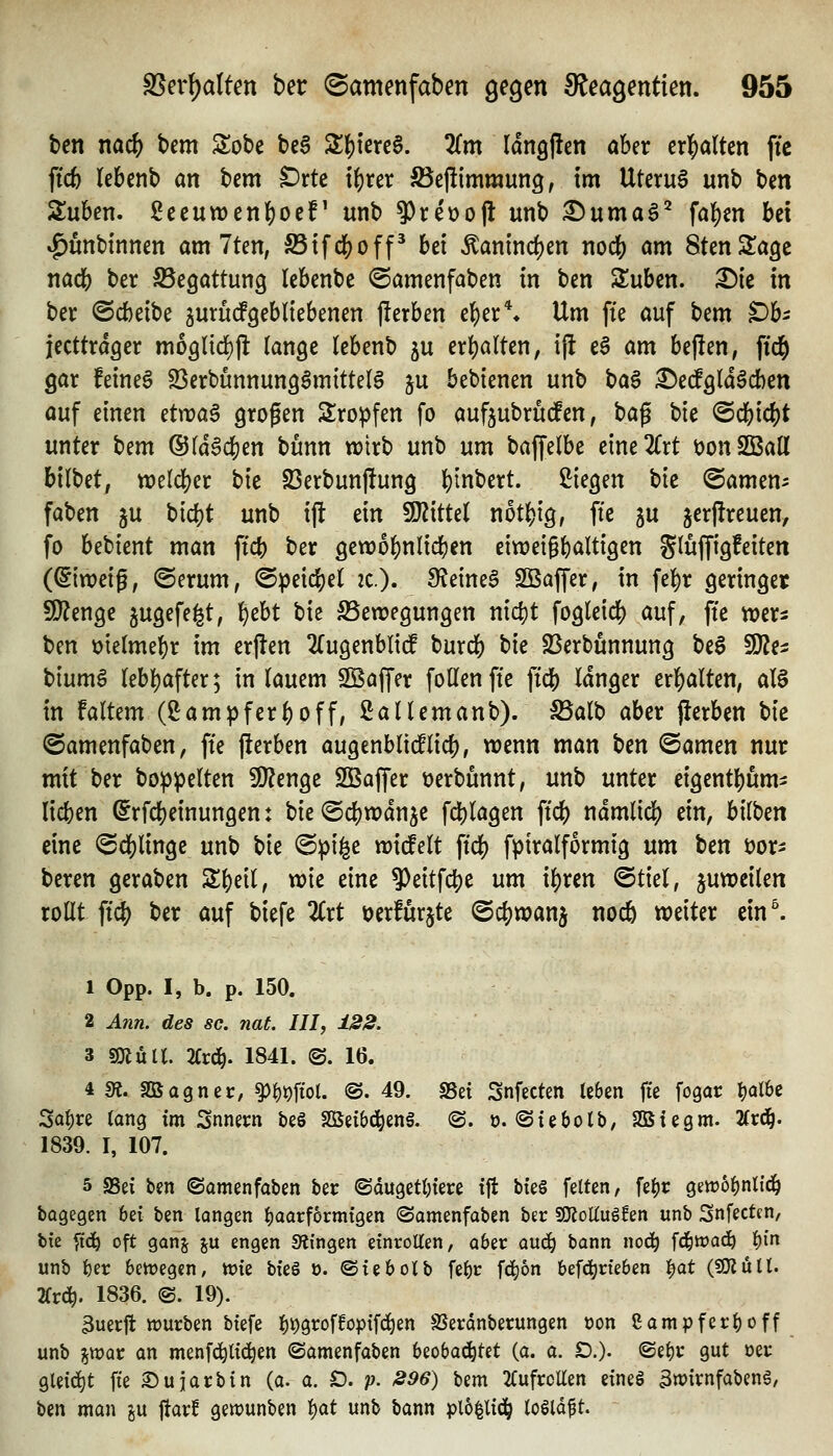 ten nad) Um Sobe bc6 Sf)i'erc6. 2(m Idngflen aber erl^altcn ffc ftcfe (ebenb an bem C^rte i^rer iöejlimmung, im Uteru6 unb bcn Suben. !2eeutt)cn|)oef' unb 9)ret)ojl unb ^uma6^ fa{)en bei »^unttnnm am 7ten, S5tfdS)off^ bei ^amnd)en noc() am StenSIagc nacb ber ^Begattung lebenbe ©amenfaben in ben Stuben. X)k in ber @cbeibe jumcfgebltebenen |!erben e^er\ Um fte auf t}em t>h jecttra^er mo3nd)jl lange (ebenb 5U ert)alten, ijl e§ am bej!en, ftc^ gar feinet 23erbunnung6mitte(6 ju bebienen unb t)a^ ^ecfgld^cben auf einen ttwa^ großen Kröpfen fo aufjubrüdPen, tia^ bie ©cbic^t unter Um ©fd6d[)en bunn n?trb unb um baffelbe eine2Crt öonSBall bilbet, weld^er bit S3erbunj!ung {}inbert. Siegen bie (Samens faben ju bi(i)t unb ijl ein ^itUl not^ig, ffc ju jer|!reuen, fo bebient man ftcb ber gewo^nlicben eiweigbaltigen glüffigfeiten (©weig, @erum, <B)ßt\d)d ic), fRi\m$ SOBaffer, in fe|)r geringet 9)?enge jugefe^t, ^ebt bie SSewegungen nici)t fogleid) auf, fte n^ers ben ötelme^r im erjlen ^fugenblidP burcb bk S3erbunnung beS ^tn biumg Iebl)after; in lauem SBaffer follen fte ftcb langer erl^alten, al§ in faltem (Sam^fer|)off, Sallemanb). S5alb aber jlerben t)k ©amenfaben, fte jlerben augenblttflic^, wenn man Un ©amen nur mit ber bo^pelten SQ^enge SBaffer üerbunnt, unb unter eigentbum^ lieben ^rfcbeinungen: bie^dijwdnje fd)lagen fic^ ndmlidj) ein, hiiUn eine ©d[)linge unb bie @pi§e mdelt ftd^) fpiralformig um ben öor- beren geraben Sbeil, wie eine 9)eitfcbe um il)ren @tiel, juweilen rollt ftc{) ber auf biefe 2Crt uerfurjte ©c^wanj nocb weiter ein^ 1 Opp. I, b. p. 150. 2 Ann. des sc. nat. III, ±22. 3 SOjiia. 2(rcl^. 1841. (S. 16. 4 SR. SBagner, ^l)#'ol. @. 49. SSei Snfecten leben fie fogar l)al6c Sa^re (ang im Snnern te§ Sßeibd^en§. ©. o. (Stebolb, SBtegm. 2(rc^. 1839. I, 107. 5 SSei ben ©amenfaben ber ©dugetinere ift Wf> feiten, feljr gevro^nlicb bagegen bei ben langen l)aarförmtgen «Samenfaben ber SKolluöfen unb Snfecten, bie fic^ oft ganj ju engen Slingen einrollen, ober (xv.^ bann nod^ fd&wad^ l()in unb l)er bettjegcn, tt)ie W^ o. ©iebolb fel)r f(^6n befd)rie6en '^oX (fOZüll. 2frd^. 1836. @. 19). 3uerft tt)urben biefe l)i)groffopifc^en SJerdnberungen oon Sampferhoff unb ^war an menfc^lid^en ©amenfaben beobachtet (a. a. £).). ©e^r gut oer gleid^t fie ©ujarbin (a. a. D. ^ -256) bem 2(ufrcllen eines 3nJirnfaben6/ ben man ju ftarif gett)unben ^oX unb bann plo^lid^ lolld^t.