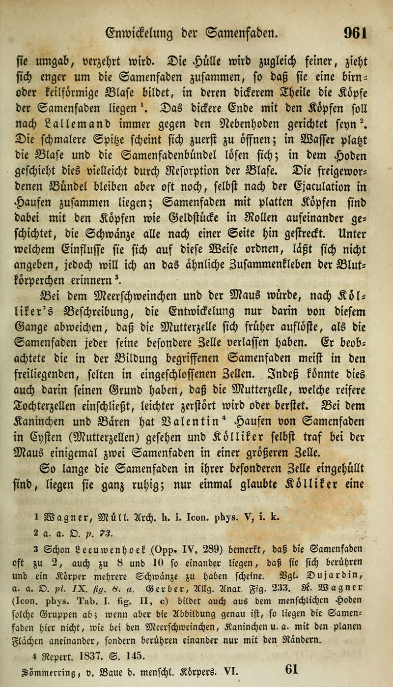 fte um^Ckb, ^n^^^^xt tt)trt). ^te v^utte wirb jugleid^ feiner, ^ki)t iiö) enger um ^k ©amenfaben jufammen; fo t)a^ fte eine birni: ober feitformige S5lafe bilbet, in beren biderem Steile bic Äopfc ber <Samcnfaben liegen \ X)a^ bidPere ^nbe mit i>m Äopfen foU nad) ßallem anb immer gegen ben 9^ebenl)oben gerichtet fe^n^ ^ie fdf)malere ©pi^e \ä)mt fidj) juerft ju offnen; in SBaffer ipla^t bie S3lafe unb bie ©amenfabenbunbel lofen fic^; in Um ^oben gefd)iel)t t>U^ t>kUt\(i)t burd^ Sleforption ber ^lafe. 5)ie freigcwor^ benen SSunbel bleiben ober oft noö^, felbfi nacb ber ^jaculation In Raufen jufammen liegen; ©amenfaben mit platten Äopfen ftnb t)abei mit tien Äopfen wie ©elbjiüdPe in 9?oHen aufeinanber gc^ fdj)idS)tet, t>u @d[)n)an5e alle mä) einer Seite ^in gejlredt. Unter welcl)em ßinpuffe fie fic^ auf biefe SBeife orbnen, lagt fid) nic|)t angeben, jebocl? will idS) an t)a^ af)nlidS)e äufammenfleben ber S5lut- forperc^en erinnern ^ S5ei bem 9}?eerfc^weindS)en unb ber SJ?au§ würbe, nadj) ^bU lifer'a S3efc|)reibung, bie ^ntwicfelung nur barin öon biefem @ange abweichen, t)a^ \)k fO^utterjelle ftc^) frü|)er aufl6|!e, al^ t}k ©amenfaben jeber feine befonbere 3elle üerlaffen ]()aben. dx bcoh acbtete bie in ber S3ilbung begriffenen ©amenfaben meifl in t)en freiliegenben, feiten in eingefd^loffenen Seilen. Snbeg fonnte bieg mä) barin feinen ©runb l)aben, iia^ Vit SD^utterjelle, welcl[)c reifere Sod)ter5ellen einfdjliegt, leid)ter jer|!ort wirb ober berßet. 23ei htm Äanind()en unb S5dren i)at 33alentin* ^^aufen üon (Samenfaben in ^^ften (9}?utterjellen) gefe^en unb Äollifer felbjl traf bei ber Tlau^ einigemal jwei ©amenfaben in einer größeren 3elle. <Bo lange bie ©amenfaben in if)rer befonberen ^tUt einge]S)ullt ftnb, liegen fte ganj rul)ig; nur einmal glaubte ^oUifer eine 1 Sßagner, SJJün. 2Crd^. h. i. Icon. phys. V, i. k. 2 a. a. £). p. 78. 3 (Sd^on Seeuwen^oef (Opp. IV, 289) kmerft, \ia^ bi'e ©amenfaben oft i\x 2, au(^ i\x 8 unb 10 fo dnanber liegen, baf fte fid^ 6erü^«n unb ein Körper mef)rere ©d^wdnje ju i^aben f^einc. JßgU 2)ujarbin, a. 0. Ö. ;??. IX. fig. 8. a. ©erber, SCttg. 3fnat %\q. 233. St. SB agner (Icon. phys. Tab. I. fig. II, c) bilbet aud^ a\x^ tzm menfc^lict|cn ^oben fol(^e ©ruppen ab; wenn aber bie 2rbbilbung genau ifl, fo liegen W ©amen« foben l)ier ni(i^t, tt?ie M ben «Üieerfi^weinc^en, Äanindien u. a. mit ben planen gldi^en aneinanber, fonbern berü|)ren einanber nur mit ben S^dnbern. 4 sRepert. 1837. (S. 145. ^ommernn0, t?. SSoue b. menf^t. Äorpetrö. VI. 61