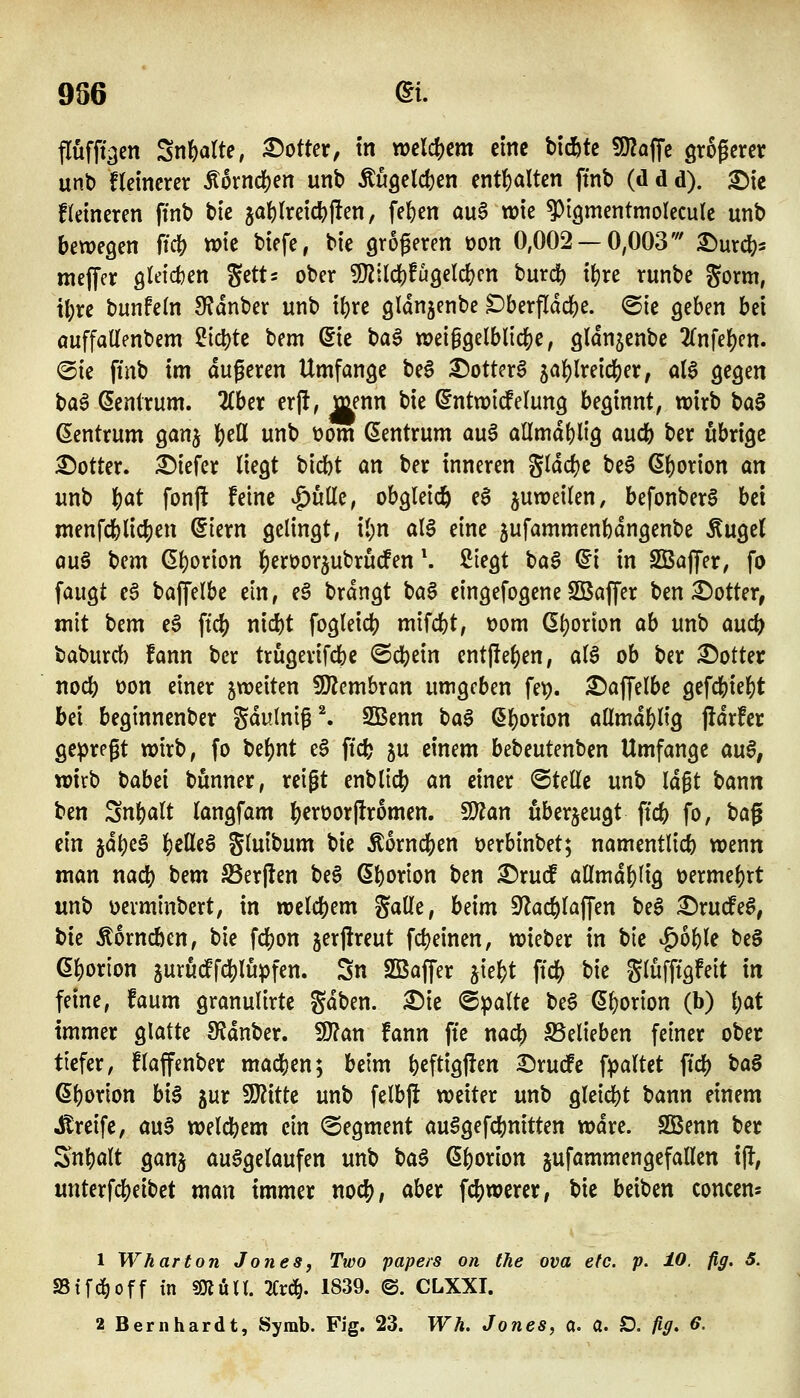 986 et. flüfffacn Snftatte, Dotter, m welchem eine bi^tc Wla\\t gtogcrer unt> flemcrer Äornd[)en unb ÄUQelcfeen entl)altcn ftnb (d d d). S)ie fletneren ffnb tk ja^treic^jlen, fe^en au§ wte ?)i9mentmoIecu(e unb bewegen fidi) wie biefe, bie größeren üon 0,002 — 0,003' ^urc^s meffer gleichen gett^ ober SJlildjfugeldjcn burc^ tljre runbe gorm, i()re bunfeln OJdnber unb if)re gidnjcnbe Dberfldcl[)e. ©ie geben bei auffaUenbem ?icl)te bem @ie ba§ weiggelblicje, gldnjenbe 2(nfe]^cn. ©ie ftnb im dugeren Umfange be§ ^otterä ja()lreicber, al0 gegen ba6 ßenlrum. 2Iber erft, menn bie ^ntwi^elung beginnt, wirb t)a§ Zentrum ganj l)eß unb t)om Zentrum auS allmdt)l{g aucb ber übrige Dotter, tiefer liegt bicbt an ber inneren g(dd)c bei ß^orion an unb i)at fon|i feine ^uüe, obgleich el juweiten, befonberl bei menfcblicben (5iern gelingt, il)n all eine jufammenbdngenbe Äugel aul bem (5l)orion ()en)or5ubrucfen \ Siegt bal ^i in SBaflfer, fo faugt el baffelbe ein, el brdngt bal eingefogene SBaffer ben i^otter, mit bem e§ ffc^ nicbt fogleic^ mifcbt, Dom (5l)orion ab unb auct) baburcb fann ber trugerifcbe ©cbein entf[ef)en, all ob ber :©otter nocb t)on einer jweiten 5!J?embran umgeben fe^. baffelbe gefcbie|)t bei beginnenber Sdu(n{g^ 2Benn ta^ ^borion atlmdblig fidrfer ge^jregt wirb, fo \)ii)nt el ftcb ju einem bebeutenben Umfange auß, wirb t>abd bunner, reigt enblicb an einer «Stelle unb Idgt bann ben Snl^alt kngfam |)erüor|!romen. Wlan überzeugt ffcb fo, t>a^ m jd()el i)itit^ Sluibum bie ÄorndS)en »erbinbet; namentlicb wenn man nacb bem S5erj!en bei Sborion ben £)ru(f aßmdblig »ermebrt unb üevminbert, in wclcbem galle, beim S^^acblaffen t>z^ :©rucfel, bie Äorncben, bie fcbon jerjireut fcf)einen, wieber in bie ^oble bei ßbotion jurudPfd^lupfen. Sn SBaffer jiebt \\<i) bie glüfftgfeit in feine, faum granulirte Sdben. ^ie <B)(>a\k bei G^orion (b) i)ai immer glatte 9?dnber. 5D?an fann ftc nacb belieben feiner ober tiefer, flaffenber machen; beim b^ftigften I)rucfe fpaltet ftcb t)a$ ßborion hi^ jur WitU unb felbjl weiter unb gleid[)t bann einem J^reife, aul welchem ein Segment aulgefcbnitten wdre. SGBenn ber Snbalt ganj aulgelaufen unb ^a^ ßborion jufammengefallen tjl, unterfcbeibet man immer noä), aber fcbwcrer, bie beiben concem 1 Wharton Jones, Two papers on the ova efc. p, 10. fig. 5. SBtfd^off in sjKön. Zv^. 1839. ©. CLXXI.