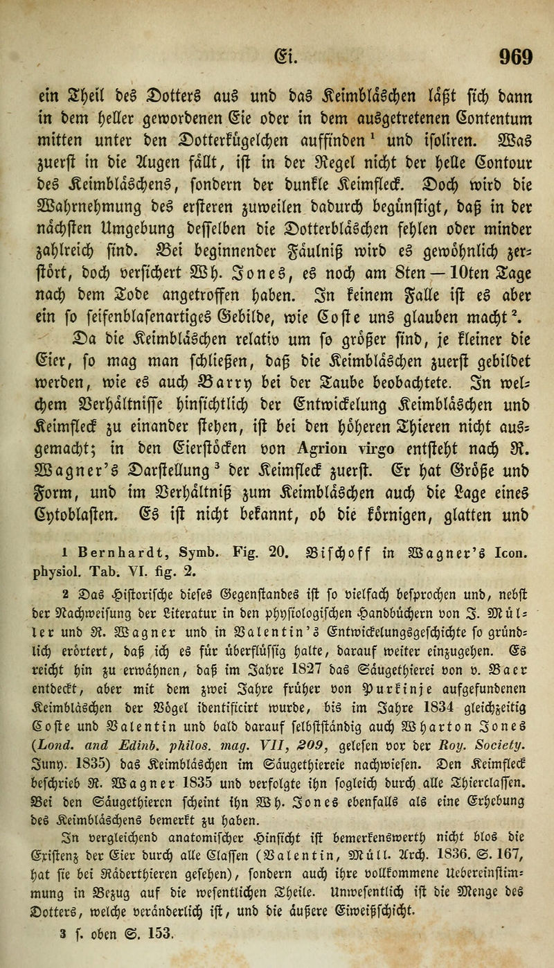 ein S^eil be§ ^ottera au$ unb ta§ ^etmbldgc|)en lä^t ftd() bann in bem f)tUcx geworbctien (5te ober in t}tm ausgetretenen ßontentum mitten unter ben I!)otter!uöe(d)en öufftnben ^ unb ifoltren. Sßa§ juerj! in bie ZuQm fallt, ij! in ber Siegel nid)t ber ]S)elle (Sontour be6 ÄeimbldSdSjenS, fonbern ber bunfte ÄeimfledP. ^od[) wirb bie 2Bal)rnel)mun3 beS erj!eren juweilen baburd^ begunjiiQt, t)a^ in ber nd4)|!en Umgebung bejjelben \)k ;^otterbId6ci[)en fe()len ober minber ja{)lreid[) finb. ^ei beginnenber gdulniß wirb eS 9ewof)nl{cb jer- flort, bodS) öerfid&ert SBl^. Sonea, e§ nod) am 8ten —lOten Sage nad) bem 2:obe angetroffen |)aben. Sn feinem SaEe ijl eS aber ein fo feifenblafenartigeS ©ebilbe, wie ßoj!e unS glauben maö^f. ^a bie Äeimbld6d)en relatio um fo groger finb, je Heiner bie eier, fo mag man fcbliegen, t)a^ bie ÄeimbldSc|)en juerft gebilbet werben, wk e§ audb ^arrt) bei ber Slaube Uoha(i)UU, Sn wtU ^tm 23er]S)d(tntffe |)inftd)tlid[) ber (^ntwicfelung Äeimbldadjen unb Äeimfled ju einanber jlel^en, ifi bei ben Ijjoljeren Sf)ieren nx^t aufs gemacht; in Un (^ierjlodfen t)on Agrion virgo entfte]()t nad& 9^. Sßagner'a :©arfiellung' ber ^eimflecf guerfl. ^r i)at (SJr5ge unb gorm, unb im 23erl)dltntp jum ÄeimbldSc&en auc^ bie ^age eineS ^t)toblajlen. (56 ijl niö^t befannt, ob bie fornigen, glatten unb' 1 Bernhardt, Symb. Fig. 20. SSif(^off in Sßagner'g Icon. physiol. Tab. VI. fig. 2. 2 ®a§ ^iftorifc^e biefe§ ©egenjfanbeö ift fo tjfetfai^ befprocEien unb, ne6|l ber 9'iad^n?eifung ber Siteratur in ben pi)t)ffotogtfcöen ^anbbüi^ern üon S- 9)Jüls Ur unb Si. SOSogner unb m SSalentin'o ©ntmfcBetungggefc^ti^te fo grunbs Itc^ erörtert, ta^ iä) e§ für überflüfftg ^alte, barauf tüeiter einjuget)en. @ö m6)t f)in ju ertt)Gi)nen, ha^ im Saftre 1827 ba6 ©duget()ferei üon ü. S5aer entbedt, aber mit bem jwet Sal)re früher üon ^urHnje aufgefunbenen Äetmblclgc^en ber S3ögel tbentt'ftdrt tt)urbe, bi§ tm Saljre 1834 gtefd^geittg 6ot!e unb S5alenttn unb baii) barouf felbftjtdnbtg aud^ S2S^arton Soneö (Loiid. and Ediiih. philos. mag. VU, 209, gelefen oor ber Boy. Society. Sunt). 1835) \iCL% ^etmbldgd^en fm (Sduget()tereie nad^wiefen. ^en Äeimf(ecg bef^rieb 3t. SBagner 1835 unb üerfolgte t^n fogtctd^ burd§ oUe Sbierclaffen. SBet ben ©dugct^tercn fc^etnt f^n SBt). Soneö ebenfalls alS eine ©r^cbung beö Äetmbtdäc^eng bemerft i\x f)aben. Sn öergleid^enb anatomifc^er ^tnffd^t ift bemerkenswert^ ni'c^t blo§ W ©yil^enj ber ©ter burc^ aUe ßtaffen (SSalenttn, mulU 2rr4 1836. ©.167, l^at fi'e bei 9?dbertf)teren gefe:()en), fonbern au(^ i^re üoltfommene Uebereinflim- mung in SSejug auf hk tt)efentli(i§en Steile. Unwefentlid^ ift hu SJKenge be§ iOotterö, wetc^e üerdnberlicä^ iffc/ unb bie dufere ©iweiff^i^t. 3 f. oben ©. 153.