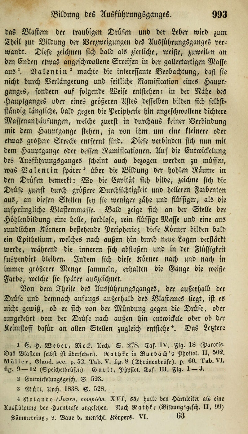 ha^ ^(af!em ber tröuHöcn Brufen unb bcr £eber wirb ^um Sfjeil 5ur ^ilbung ber SSer^wei^ungcn be6 ^fu^fü^rung^ganQca Der- n?anbt. £)tefe jctd)nen ftd) balb 0I6 jicrlidj^e, weige, juweilen an ben ^nben etwa§ atigefdS^tDülIene ©treffen in ber gallertartigen 9}?affe öu6\ SJalentin^ mad)te bie intereffante S5eobad^tung, ta^ ftc nidS)t burc^ Sßerlangerung unb feitltdje 9?amification eineS ^^au^U gangea, fonbern auf folgenbe SBeife ent|!el)en: in ber 9^d()e bea ^auptgangeö ober etne6 grogeren 2l|le§ beffelben bilben ftd) felbjl- jldnbig ldnglid[)e, balb gegen ^k ?)eripf)erte |)in angefcl^wollcne bicf)terc 5D?ajTenanl)dufungen, Yvdä)t juerft in burc^auS feiner SSerbinbung mit tcm ^auptgange flehen, ja V)on il)m um eine Heinere ober ctvoa^ grogere ©trede entfernt ffnb. :©iefe »erbinben ftd) nun mit t)tm ^au))tgange ober beffen 9f?am{ficationen. 2(uf t>k ^ntn?i(felung be6 2(u6ful)rungögange6 fdfjeint auc^ belogen werben ju mi^ffen, tt)a6 23alentin fpdter ^ über bie ^ilbung ber ]&ol)len 9?dume in ben Prüfen bemerft: Söo bie ßaüitdt ftc^ bilbe, jeicbnc ffc^ bie ^rüfc juerlt burcb größere £)urd)ftc&tigfeit unb l)elleren garbenton an§, an biefen ©teilen fet) fte weniger jdf)« unb flufftger, aU bie urfprunglid^e S3lajlemmaf|e. ^alb jeige ftd) an ber ©teile ber ^o^lenbilbung eine 'f;)eUe, farblofe, rein flüfftge 9)?affc unb eine au$ runblic^en hörnern bej!el)enbe ^erip^erie; biefe Corner bilben balb ein ^pit()elium, vt)eld[)eg nad) äugen ^in burd) neue ?agen t)er|!drft werbe, wdf)renb bie inneren fid[) objlogen unb in ber glufftgfeit fuöpenbirt bleiben. Snbem ftcb biefe Äorner na^ unb nad) in immer grogerer 9}?enge fammeln, ex'i)alUn t>ic ©dnge bie wcige Sarbe, tt)eld)e fte fpdter au6jeid)net S3on bem 3;t)eile be6 3(u6ful)rung§gange§, ber augerl^alb ber ^rufe unb bemnacb anfangt augerl)alb bea ^lafteme^ liegt, t|l e$ nid5)t gewig, ob er ftd) üon ber 9)?ünbung gegen bie ^rufe, ober umgefebrt öon ber ^rüfe nacb äugen bin entwicfele ober ob ber Äeimfloff bafür an allen 'BUUm jugleic^) entflel)e*. ^a$ ße^tere 1 ©. ^. Sßeber, so^eif. 2(rc^. ©. 278. Sof. IV. ^ig. 18 (^orotts. ©06 SStafiem felbft ijl ü6er[el)en). diati)ii in SSurbad^'S ^Wol- » ^^2. Müller, ©laad. sec. p. 52. Tab. V. fig. 8 (Si)rdnenbrüfe). p. 60. Tab. VI. fig. 9 — 12 ((Spdc^etbcüfen). ©ucU, ^^pftol. Saf. III. Sis- 1 —3- 2 (5ntn?tc!elungg9ef^. ©. 523. 3 sJÄuU. 2(rc^. 1838. @. 528. 4 ütolanho (Joum. complem. XVI, S3) ^atU ben JQüxnldUr: a(ö eine 2Cu§j!ü(pun9 ber JgavnhlaU angefefjen. ««ac^ mat^U (SSübung'gefc^. II, 99) ^ommarin^, o. SSaue b. menfd^l. Jt^rperö. VI. 63