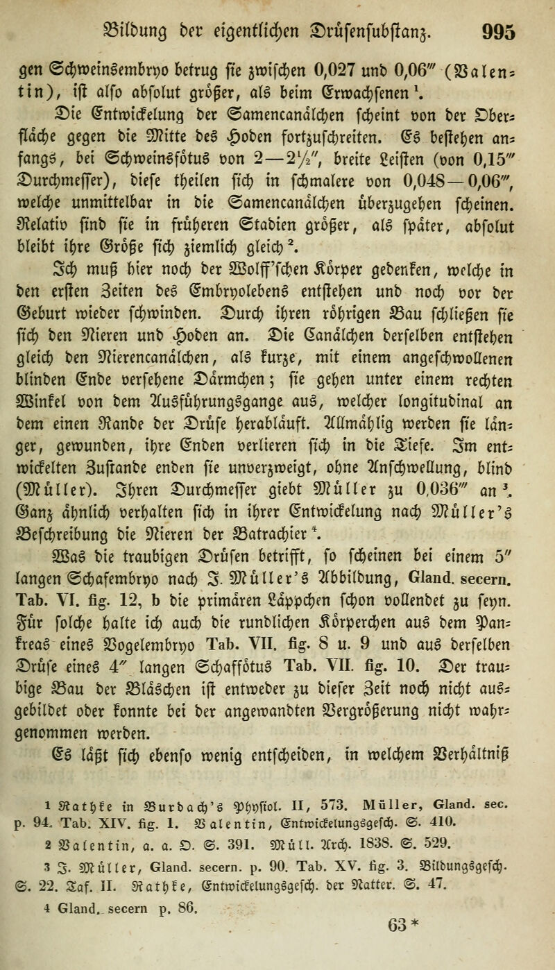 9cn <B(i)mln$mhx)()o betrug fte gwifdjen 0,027 unb 0,06''' (8SaIen= tin), tjl alfo abfolut groger, aB beim (5mad}fenen \ 3)ie ^ntwidPelung ber ©amencandtdjen fd)eint t)on ber ^ber^ flddS)e gegen bte 3)?ttte be^ vg)oben fortjufcbreiten. (56 be|!e()en an=: fang^, bei @d[)tt?ein6fotu§ t)on 2—272, breite ßeijfen (üon 0,15' ^urcl)me|Ter), biefe t^eiren ftcf) in fc&malere Don 0,048—0,06''', wtld)c unmittelbar in Ut (Samencand(d;en überzugeben fcbeinen. fRdatb ftnb fte in früheren ^ta'oun groger, olg fpater, abfolut hkiht ibre ©roge ftcb jiemlicb Qleicb^ Scb mug bier nocb ber Sßolff'fcben Äor^er gebenfen, wclcbe in t^tn erften Seiten beS (^mbrpolebenS ent(!eben unb nocb cor ber ©eburt trieber fcbwinben. ^urcb ibten robrigen S3au fd;liegen fte ftdj) tixi Spieren unb .£)oben an. ^ie Landleben berfelben entfleben gleicb t}en iJ^ierencandlcben, aU furje, mit einem angefcbwollenen blinben ^nbe »erfebene ^drmd)en; fte geben unter einem recbten SBinfel t)on bem 2(u§fubrungggange auö, treldjer longitubinal an bem einen 9?anbe ber :^rufe b^i^^blduft. 2(Kmdblig werben fte Idn- ger, gewunben, ibre ßnben t?erlieren ftcb in bie ^iefe. Sm ent^ wicfelten 3uftanbe enben ffe unüerjweigt, obne 2{nfd)n?eüung, blinb (iO^üüer). Sbren 3:)urcbmefrer giebt fO^uHer ^u 0,036' an ^ ©anj dbnlicb üerbalten ffd) in ibrer ^ntwi(fe(ung nacb ^ülUx'S Ißef^reibung bie 9^ieren ber S3atracbier *. 2Ba§ Vu traubigen Brufen betrifft, fo fcbeinen bei einem 5 langen @cbafembrt)o nacb S-9}?üUer'§ 2rbbi(bung, Gland. secern. Tab. VI. fig. 12, b bie ^rimdren ßdppcben fcbon roüenbet ju fe^n. S^ür folcbe balte icb aucb bie runblicben Äorpercben auS bem 9)an- freaS eines S3ogelembri)o Tab. VII. %. 8 u. 9 unb au§ berfelben ^rufe eines 4 langen ©d)affotuS Tab. VII. fig. 10. ^er trau^- bigc S5au ber S5ld6cben ip entweber p biefer 3eit nocb nicbt auS^ gebilbet ober fonnte bei ber angetranbten 23ergrogerung nicbt n^abr^ genommen werben. @S lagt ftcb ebenfo wenig entfcbeiben, in welcbem 23erbdltnig 1 «Äof^e tn SSurba^'g ^f)t)ftot. II, 573. Müller, Gland. sec. p. 94. Tab. XIV. fig. 1. SJaUntin, entroicJelungggefd^. ©. 410. 2 SJaUntin, o. a. D. ®. 391. fOlüU. Tfrc^. 183S. ®. 529. 3 S. muUiv, Gland. secern. p. 90. Tab. XV. tig. 3. SSilbungägefd^. (S. 22. Saf. II. s«att)fe, (gntwicfelungggefd^. ber Stattet. @. 47. 4 Gland.. secern p. 86. 63*