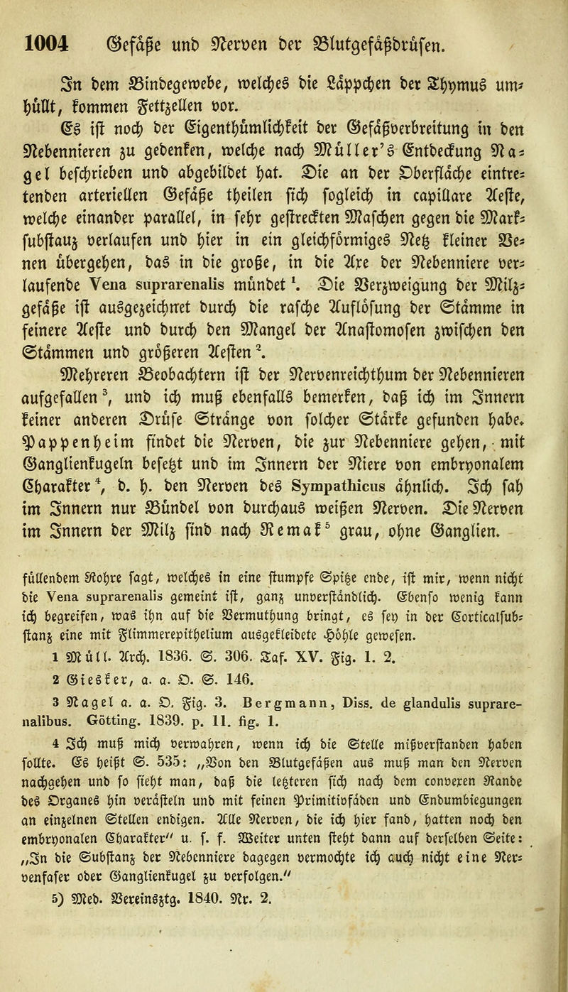Sn bem SSinbcgewebe, weldje^ btc 2d^^d&en bcr S^^mua um^ \)nUt, fommcn gett^eEen üor. ^§ ijl nodj) ber ©9enti)ümnc|)!e{t ber ©efafüerbrcttung in bm SIebcnmercn gu gebenfen, tt?e(d)e nad) SJ^üller'^ ^ntbecfung ^a^ gel bef4)neben unb öbgebilbet i)at ^tc an ber ^berfldd)e etntrcs tenben arteriellen ©efdge t^eilen \iä) fogleid) in capiüare 2rej!e, rvdd)^ einanber iparallel, tn fef)r ^ejlredten 9}?af(^en gegen bie 9)?arf5 fubjiauj verlaufen unb ^ier in ein gleici!)formige§ 9^e^ Heiner SSe^ nen übergel^en, ha§ in bie groge, in bie 2(re ber S^ebenniere »er- laufenbe Vena suprarenalis münbet *. X)k fßerjtüeigung ber Wü^^ gefdge ijl au^ge^eii^net burc^ bie rafd)e 2Cuflofung ber ©tdmme in feinere 2(ejle unb burd) ben 5l}?ange( ber 2Cnaflomofen 5n)ifd;en ben ©tdmmen unb größeren 2(e)len^ Tlil^xtnn S5eobad()tern ij^ ber 9?ert)enreicl[)t]E)um ber ^Nebennieren aufgefallen^ unb id[) mug ebenfalls bemerken, bag ii^ im Innern feiner anberen £)rufe ©trdnge üon folcl)er ©tdrfe gefunben l^abe* ^appen{)eim finbet bie S^Zerocn, bie jur ^Nebenniere ge]()en,mit ©angltenfugeln befe^t unb im Innern ber SNiere t)on embryonalem ßbarafter*, b. \). ben SNeroen be§ Sympathicus d^nlicb. Scü) fal) im Innern nur Sünbel t)on burdjau^ weisen SNeroen. ^ie^Neroen im Snnern ber SJ^tlj ftnb nad[) SJemaf ^ grau, o^ne ©angliem füUenbem Sfio^re fagt, weld^eö in etne jlumpfe (Spt^e enbe, ijt mir, ioenn nid^t bie Vena suprarenalis gemeint ift, gan;^ unux^änUiä). (Sbenfo tt)entg fann id^ begreifen, tvai i^n auf bie S3ermut{)ung bringt, e6 fei) in ber (5orticalfu6s ftanj eine mit glimmerepit^elium au§gef(eibete Jgb^U gewefen. 1 501 Uli. 2i:r4 1836. (S. 306. Saf. XV. gig. 1. 2. 2 ©ieSfer, a. a. Q. @. 146. 3 9(1 agel a. o. £). ^ig. 3. Bergmann, Diss. de glandulis suprare- nalibus. Götting. 1839. p. 11. fig, 1. 4 2^ muf mid^ oern)al)ren, wenn id) bk <^U'ili mifüerftanben l^aben foUte. @ö 'i)d^t @- 535: „SSon ben SSlutgefd^en auö mu^ man ben S^eroen nod^geben unb fo ftel)t man, i>a^ hk le^teren fic^ nac^ Um conüejcen Sianhi be§ Drganeö l)in oerdfteln unb mit feinen ^rimitiöfdben unb ©nbumbiegungen an einzelnen ©teilen enbigen. 2Clle S^eroen, i)k iäi l)ier fanb, Ijatten no^ ben embryonalen ßöaraEter u. f. f. Sßeiter unten ftel)t bann auf berfelben Seite: „3n Uz ©ubftanj ber 9Tebcnniere bagegen üermoc^te ic^ auc6 nid^t eine ^^er^ oenfafer ober ©anglienfugel gu verfolgen. 5) sojeb. aSereinöstg. 1840. mx. 2.