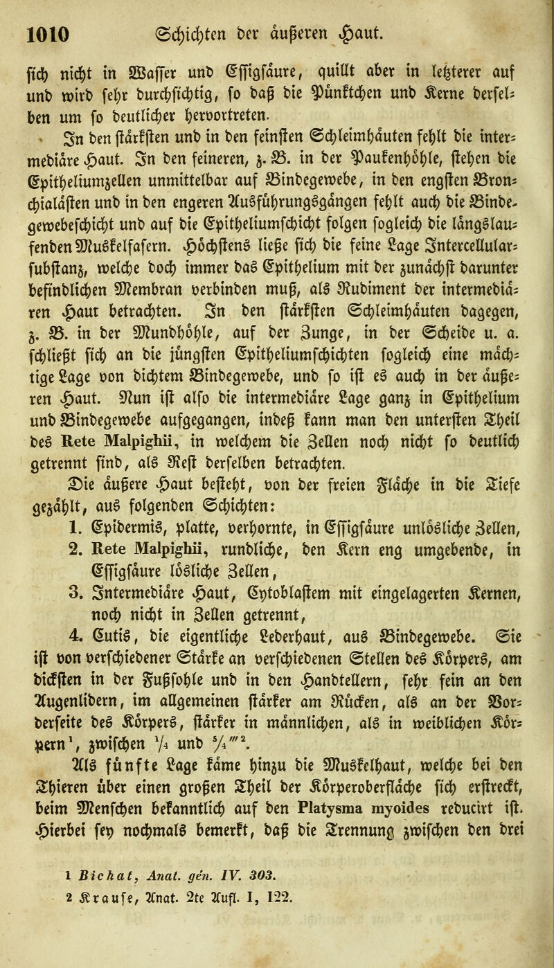 fidS) nic^t in S55a|Ter unt) ^fftgfdure, quiUt ciUx in (eiteret auf unt) Wirt) fel)r burrfjftcljtig, fo tag bie 9)ünftdS)en unb Äerne berfel^ ben um fo beutli^cr l&ertjortreten. ^ Sn ben jldrf jien unb in ben feinften ©d)le{mf)duten fef)U bie inter- mebidre .^aut. Sn ben feineren, j. Sä. in ber ?)au!en()of)(e, j!e{)en bie ©^)itl()elium5eaen unmittelbar auf ^inbcgewebe, in ben enQJlen S3rom d)ia(di!en unb in ben engeren 2(u6fü()run963dngen fefelt and) tk S3inbe- gewebefcl[)id()t unb auf t)u @pit^eliumfd)id)t folgen fo9leid[) bie Idng^Iau^ fenbenSJiu^felfafern. ^od^jleng liege ftd) bie feine Sage Sutercellular^ fubjfanj, wel^e bodj) immer ba§ ^p\ti)t\mm mit ber 5undcf)p: barunter befmblidS)en Wltmhxan üerbinben mug, al§ 9?ubiment ber intermebid- ren »^aut betrad)ten. Sn ben jldrf|!en ©cl)leim^duten bagegen, g. 5B. in ber 5[}?unbl)6l)le, auf ber 3unge, in ber @d)eibe u. a. fd()liegt fic& an bie iüngjlen ^pitf)eliumfcl^id[)ten fogleid^ eine mdcb- tige Sage üon bidS)tem SSinbegewebe, unb fo ijl e§ aucb in ber duge^ ren ^ant ^un ijl alfo bie intermebidre Sage ganj in @^it]()elium unb ^inbegewebe aufgegangen, inbeg fann man ben unterjlen Sbeil t>e§ Rete Malpighii, in welcbem Uc ^cUcn nocl) nicfet fo beutlicf) getrennt ftnb, als 9?el! berfelben betrachten. ^ie dugerc ^^aut be\tt^t, t)on ber freien Sldd[)e in bie Siefe ge§df)lt, au6 folgenben ©cfjicbten: 1. ^pibermiS, iplatte, \)txi)oxnk, tn^ffigfdure unl6SlidS)e 3eUen, 2. Rete Malpighii, runblid^e, ben Äern eng umgebenbe, in ^ffigfdure loSlicbe Seilen, 3. Sntermebidre ^aut, (5t)tobla|iem mit eingelagerten Äernen, nocb nid&t in Seilen getrennt, 4 Qüü§, bie eigentlicjc Seberbaut, m^ SBinbegewebc. ©ie ift tjon üerfcbiebener @tdr!e an üerfd[)iebenen ©teilen beS ^or^erS, am t)t#en in ber gugfoble unb in ben ^anbtellern, ^tf)x fein an ben 2(ugenlibern, im aUgemeinen jtdrfer am diMm, alS an ber SSor^ berfeite be§ ÄorperS, jtdrfer in mdnnlicben, alg in weiblicben Äor- i>ern\ jwifcben V^ unb y^'''^ 2CB fünfte Sage Umt binj« bie 50?u6fclbaut, welcbe bei Un Sbieren über einen grogen S()eil ber Äorperoberfldcbc fi'd) erjlredft, heim 5D?enfcben befanntlicb auf ben Platysma myoides rebuctrt ijt. Sterbet fe^ nod[)mal6 bemerft, bag bie Srennunj^ jtpifcben ben bret 1 BiChat, Anat. gen. IV. BOB. 2 Ärauf«, 2Cnat. 2te ^Tufl. I, 122.