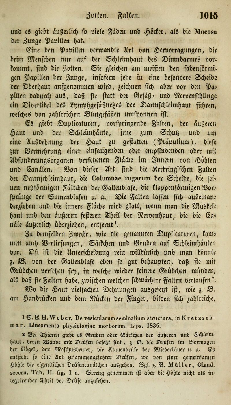 Sotten, garten. lOW unt) eö gtebt dugerlid) fo mele gaben unt) ^bdcx, alS tic Mucosa t)er Sunge 9)api(Ien l^at. (5tne ben 9)ö^i(Ien öemanbte litt öon ^ix\)oxxa^un^tr\, bte beim SD^enfdben nur auf ber <B(i)k'mi)a\xt be6 ^ünnbarmeö üor- fommt, ffnb bte Sotten. @te ö^eidjen am meiftcn ben fabenformii gen ?)apillen ber Sunge, tnfofern jebe in eine befonbere ^ä)tlH ber ^btx^ant aufgenommen wirb, ^nd)mn ftd[) aber t)or ben 9)a- pillen baburdS) au§, bag jte jiatt ber ©efdgs unb 9?ert)enfc6lingc ein £>iüert{fel be§ ^pmpl^gefdgne^eS ber £)armf(i)leim|)aut fulS)ren, welc&eS t)on ja]^lreid)en S5lutgefdgen umf^onnen ij!. ^§ giebt £)uplicaturen, üorfpringenbe galten, ber duperen ^aut unb ber ©cfeleim^dute, jene jum @cbu^ unb um eine 2(u§be]&nun9 ^^^ ^^t ju gejlatten (9)rdputium), btefe jur S3ermef)rung einer einfaugenben ober em^finbenben ober mit ^tbfonberung^organen öerfe^enen gldcbe im Snnern t)on |)obIen unb Sandlen. 23on biefer 2Crt fmb bie Äerfring'fi^en ^alUn ber ^armfdS)(eiml()aut, hk Columnae mgarnm ber ©djetbe, bie fei^ nen ne^formigen gdltc^en ber ©aöenblafe, bie f(a!|)penformigen SSor^ f^rünge ber ©amenblafen u. a, ©ie galten laffen fic^ auSeinan- tix^ki)cn unb bie innere gldcbe wirb glatt, wenn man bie ^u^tcU i)a\xt unb \)tn dugeren fe(!eren Zf^zil ber 9^erüenf)aut, \)k bie ßa^ ndle duferlidt) uber5iel)en, entfernt*. 3u bemfelben 3wedfe, wie bie genannten ^u^licaturen, !om- men aud) SSertiefungen, @d(fclS)en unb ©ruben auf <Scl[)leimbduten t)or. ^ft ijlt bie Unterfcbeibung rein willfurltcb unb man fonnte 5. S5. t)on ber ©aEenblafe eben fo gut bel)au^ten, bafi fte mit ®rubc()en t)erfef)en fet), in weld[)e wieber feinere ©rubcben munben, aia bag ffe galten babe, jwifcben welcl)en fd)wdc§ere galten verlaufen ^ 5Bo bie ^aut üielfadben ^ebnungen au6gefe|t i|!, wie j ^. am |)anbrudPen unb t>tm 3?ucfen ber ginger, bilben ficb ^ablreidj^e, 1 ©. E. H. W e b e r, De vesicularum seminalium structura, in Kretzsch- mar, Lineamenta physiologiae morborum. Lips. 1836. 2 SSet St)teren gtebt c§ ©ruben ober ®dc!(^cn ber dufercn unb ©d^tetm; i)aut, beren SBdnbe mit ©rufen befe^t finb/ j. 58. bte ©rufen im SJormagen ber aSogel/ ber aKofd^uSbeutel, bie Älauenbrüfe ber SBieberfduer u. 0. ©g entft:ei)t fo eine 2Crt ^ufommengefe^ter ©rufen, vüo üon einer gemeinfamen ^o^le Ui eigentlid^en ©rüfencandld^en au§gef)en. SSgt. 5. S5. Müller, Gland. secern. Tab. II. fig. 1 a. (Streng genommen ift aber hk^bi)k nid^t at§ in-- teQrirenber Z^üi ber ©rufe anjufet)en.