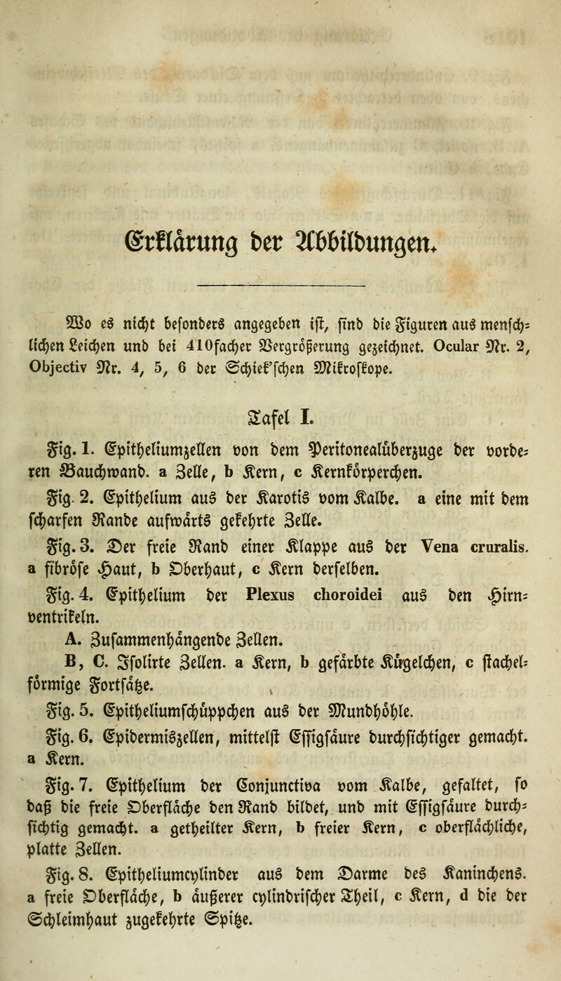 ©rfldruttg bcr ^Cböttbungen. 9Bo e0 ntd)t befonbecS angegeben if!, ftnb bie gtguren au6 menfci)^ ticken Seichen unb bei 410fad)ec SSecgroperung gejetdS^net. Ocular S*?!:. 2, Objectiv ^v, 4, 5, 6 bec ^<i)kf\(i)in SDiifcoffope. Safel L gtg. 1. (^ptt^eltumjellen t)on bem ?)entoncalubersuöe ber üorbe- ren ^auclE)want>. a Seile, b Äern, c Äernfor^erd[)en. gig. 2. ^pttl)eltum aua ber Karotte t)om Äalbe. a emc mit bem fcl[)atfen 9?anbe aufwarte gefe^rte Seile. Stg.S. ^er freie 9?anb einer ^lap))e au6 ber Vena cruralis. a fibrofe ^aut, b Dber^aut, c Äern berfelben. gtg. 4. (Fpitf)elium ber Plexus choroidei au^ t>m ^irn- üentrifeln. A. Sufammenl^dngenbe Seilen. B, C. Sfolirte Seilen, a Äern, b gefärbte Äugeld^en, c ftac&el- formtge gortfage. gtg. 5. ^^itf)eliumfd()u^^c&en avi$ ber 9J?unb^o|)le. gig. 6. (^ipibermiajellen, mittelfl Sfftgfaure burcl()ftd[)tt9er gemacht. a Äern. gig. 7. ß^itl^elium ber ßonjunctiöa üom Äalbe, gefaltet, fo t>a^ bie freie Dberfldd&e t)en dtan^ hxiUt, unb mit ©fTigfaurc burcb- fidbttg gemad^t. a getl^eilter Äern, b freier Äern, c oberflddS)lic&e, platte Sollen. gig.8. ^pitl)eliumc9linber an^ Um £)arme beg Äaninc^ena. a freie Dberflad^e, b dugerer c^linbrifc^ier S^eil, c Äern, d bie ber @*leim^aut 5ugefel)rte @pi^e.