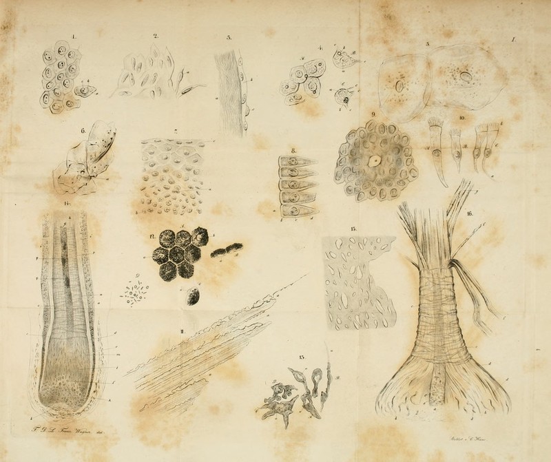 &.%, ^W'.- 1^'^ %%^ /c ( . \1 9M^ ];t^ ^mt^y:^^^ <;.,A,^ .'f.'jc^