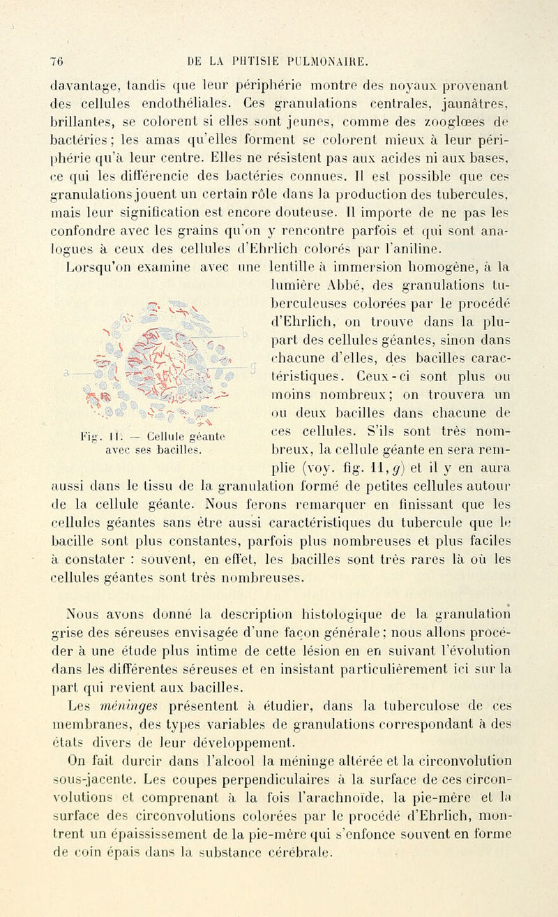 davantage, tandis que leur périphérie montre des noyaux provenant des cellules endothéliales. Ces granulations centrales, jaunâtres, brillantes, se colorent si elles sont jeunes, comme des zooglœes de bactéries ; les amas qu'elles forment se colorent mieux à leur péri- phérie qu'à leur centre. Elles ne résistent pas aux acides ni aux bases, ce qui les différencie des bactéries connues. Il est possible que ces granulations jouent un certain rôle dans la production des tubercules, mais leur signification est encore douteuse. Il importe de ne pas les confondre avec les grains qu'on y rencontre parfois et qui sont ana- logues à ceux des cellules d'Ehrlich colorés par l'aniline. Lorsqu'on examine avec une lentille à immersion homogène, à la lumière Abbé, des granulations tu- -;;. ^ ^ berculeuses colorées par le procédé ^■ ~' d'Ehrlich, on trouve dans la plu- 1 ^=3^ ^C-x ■- part des cellules géantes, sinon dans ^--^ - ss^^itL^v!-^ -'« chacune délies, des bacilles carac- V. ^'*'.\&;\%^.'> téristiques. Ceux-ci sont plus ou 'f'-M ■ ^^'^'i^^iiJ--^ moins nombreux; on trouvera un ■.; ^~ .-;-'' ou deux bacilles dans chacune de l<^ig. li. - Cellule géaute '-^s cellules. S'ils sont très nom- avec ses bacilles. breux, la cellule géante en sera rem- plie (voy. fig. 11,^) et il y en aura aussi dans le tissu de la granulation formé de petites cellules autour de la cellule géante. Nous ferons remarquer en finissant que les cellules géantes sans être aussi caractéristiques du tubercule que le bacille sont plus constantes, parfois plus nombreuses et plus faciles à constater : souvent, en effet, les bacilles sont très rares là où les cellules géantes sont très nombreuses. Nous avons donné la descriptir»n histologique de la granulation grise des séreuses envisagée d'une façon générale; nous allons procé- der à une étude plus intime de cette lésion en en suivant l'évolution dans les différentes séreuses et en insistant particulièrement ici sur la part qui revient aux bacilles. Les méninges présentent à étudier, dans la tuberculose de ces membranes, des types variables de granulations correspondant à des états divers de leur développement. On fait durcir dans l'alcool la méninge altérée et la circonvolution sous-jacente. Les coupes perpendiculaires à la surface de ces circon- volutions et comprenant à la fois l'arachnoïde, la pie-mère et la surface des circonvolutions colorées par le procédé d'Ehrlich, mon- trent un épaississement de la pie-mère qui s'enfonce souvent en forme de coin épais dans la substance cérébrale.