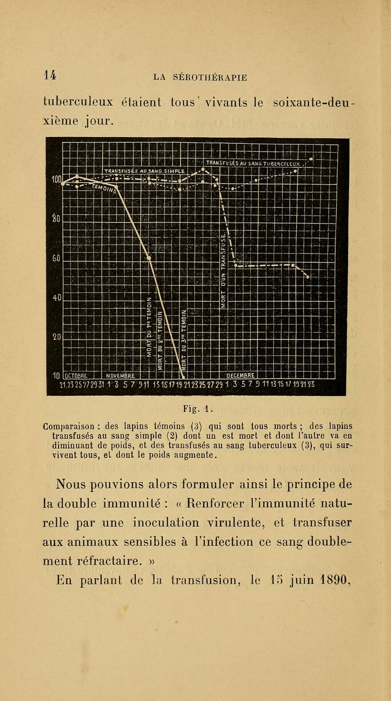 tuberculeux étaient tous' vivants le soixante-deu- xième jour. Fig. 1. Comparaison : des lapins témoins (3) qui sont tous morts ; des lapins transfusés au sang simple (2) dont un est mort et dont l'autre va en diminuant de poids, et des transfusés au sang tuberculeux (3), qui sur- vivent tous, et dont le poids augmente. Nous pouvions alors formuler ainsi le principe de la double immunité : « Renforcer l'immunité natu- relle par une inoculation virulente, et transfuser aux animaux sensibles à l'infection ce sang double- ment réfractaire. » En parlant de la transfusion, le 15 juin 1890,