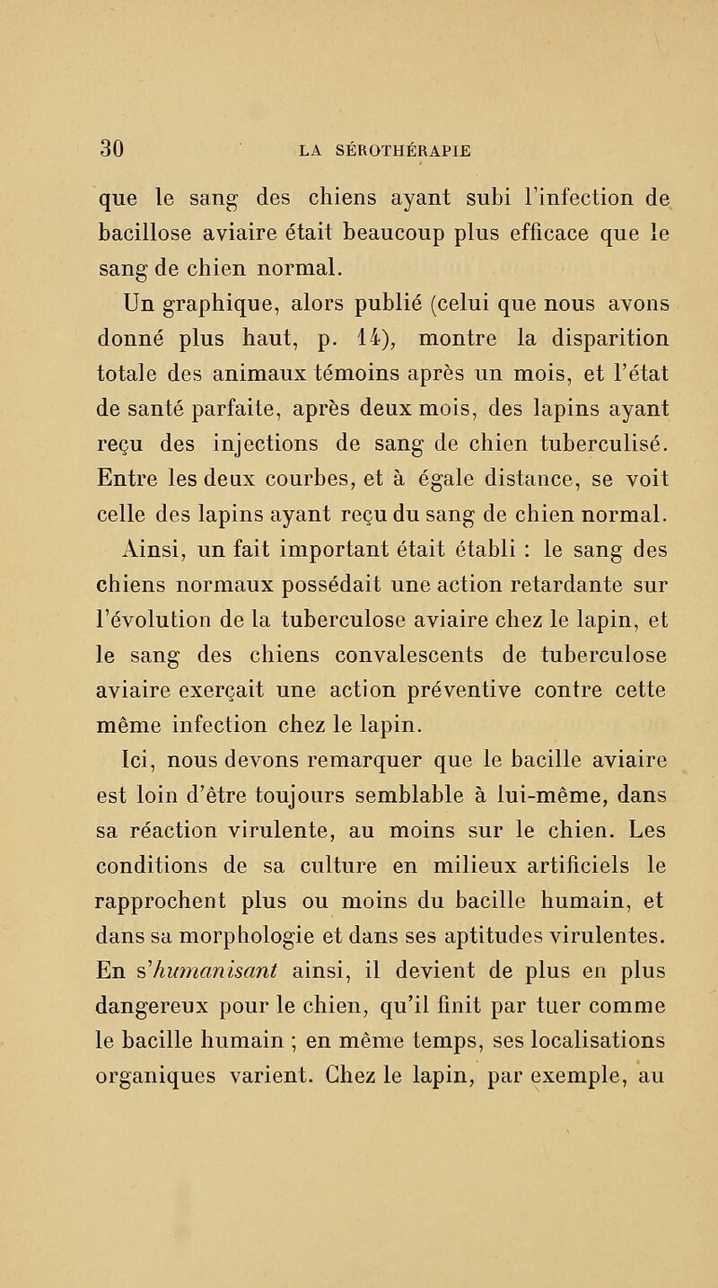 que le sang des chiens ayant subi l'infection de bacillose aviaire était beaucoup plus efficace que le sang de chien normal. Un graphique, alors publié (celui que nous avons donné plus haut, p. 14), montre la disparition totale des animaux témoins après un mois, et l'état de santé parfaite, après deux mois, des lapins ayant reçu des injections de sang de chien tuberculisé. Entre les deux courbes, et à égale distance, se voit celle des lapins ayant reçu du sang de chien normal. Ainsi, un fait important était établi : le sang des chiens normaux possédait une action retardante sur l'évolution de la tuberculose aviaire chez le lapin, et le sang des chiens convalescents de tuberculose aviaire exerçait une action préventive contre cette même infection chez le lapin. Ici, nous devons remarquer que le bacille aviaire est loin d'être toujours semblable à lui-même, dans sa réaction virulente, au moins sur le chien. Les conditions de sa culture en milieux artificiels le rapprochent plus ou moins du bacille humain, et dans sa morphologie et dans ses aptitudes virulentes. En ç,'humanisant ainsi, il devient de plus en plus dangereux pour le chien, qu'il finit par tuer comme le bacille humain ; en même temps, ses localisations organiques varient. Chez le lapin, par exemple, au