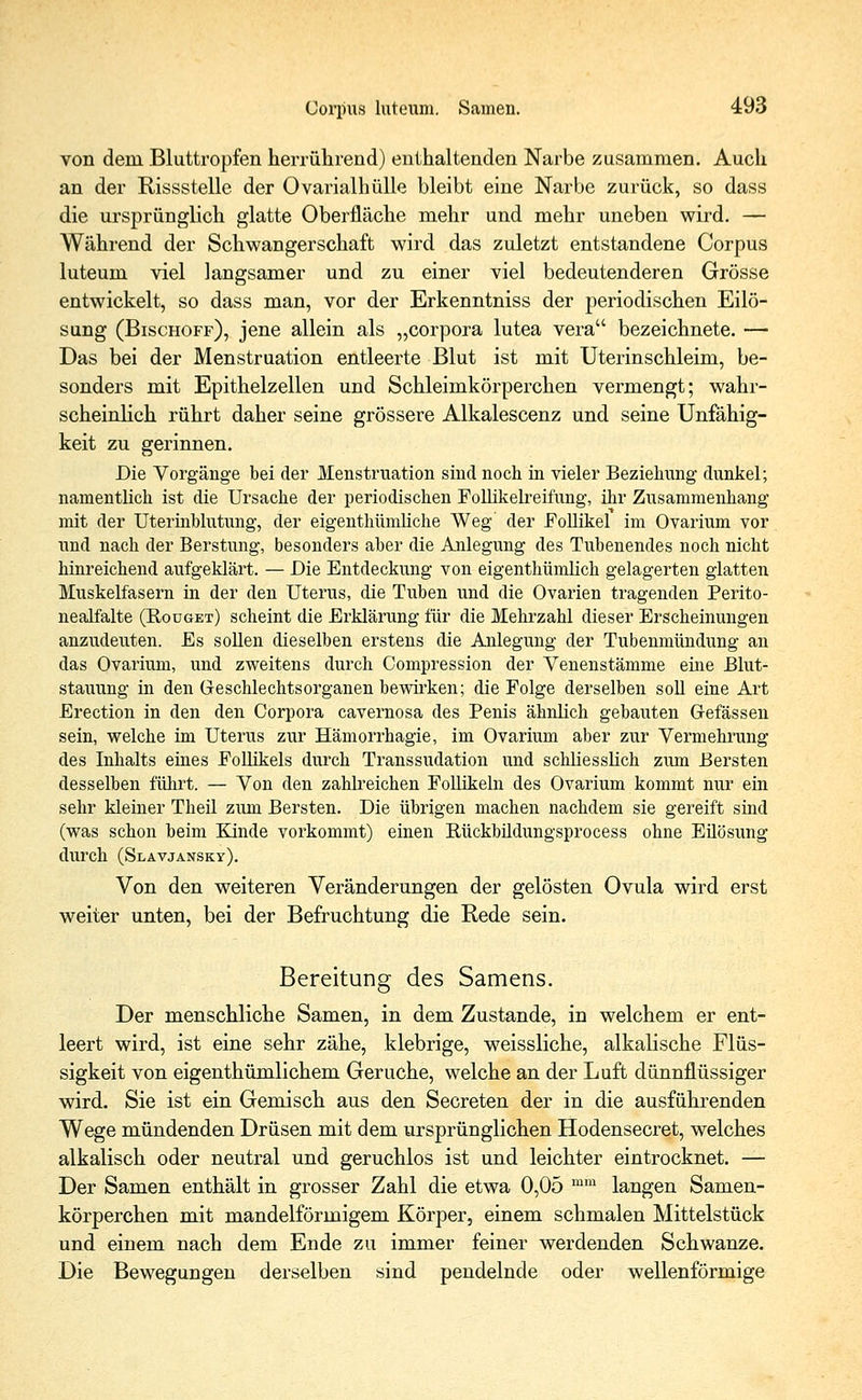 von dem Bluttropfen herrührend) enthaltenden Narbe zusammen. Auch an der Rissstelle der Ovarialhülle bleibt eine Narbe zurück, so dass die ursprünglich glatte Oberfläche mehr und mehr uneben wird. — Während der Schwangerschaft wird das zuletzt entstandene Corpus luteum viel langsamer und zu einer viel bedeutenderen Grösse entwickelt, so dass man, vor der Erkenntniss der periodischen Eilö- sung (Bischoff), jene allein als „corpora lutea vera bezeichnete. — Das bei der Menstruation entleerte Blut ist mit Uterinschleim, be- sonders mit Epithelzellen und Schleimkörperchen vermengt; wahr- scheinlich rührt daher seine grössere Alkalescenz und seine Unfähig- keit zu gerinnen. Die Vorgänge bei der Menstruation sind noch in vieler Beziehung dunkel; namentlich ist die Ursache der periodischen Follikelreifung, ihr Zusammenhang mit der Uterinblutung, der eigenthümliche Weg der Follikel im Ovarium vor und nach der Berstung, besonders aber die Anlegung des Tubenendes noch nicht hinreichend aufgeklärt. — Die Entdeckung von eigenthümlich gelagerten glatten Muskelfasern in der den Uterus, die Tuben und die Ovarien tragenden Perito- nealfalte (Rouget) scheint die Erklärung für die Mehrzahl dieser Erscheinungen anzudeuten. Es sollen dieselben erstens die Anlegung der Tubenmündung an das Ovarium, und zweitens durch Compression der Venenstämme eine Blut- stauung in den Geschlechtsorganen bewirken; die Folge derselben soll eine Art Erection in den den Corpora cavernosa des Penis ähnlich gebauten Cefässen sein, welche im Uterus zur Hämorrhagie, im Ovarium aber zur Vermehrung des Inhalts eines Follikels durch Transsudaten und schliesslich zum Bersten desselben führt. — Von den zahlreichen Follikeln des Ovarium kommt nur ein sehr kleiner Theü zum Bersten. Die übrigen machen nachdem sie gereift sind (was schon beim Kinde vorkommt) einen Rückhildungsprocess ohne Eüösung durch (Slavjansky). Von den weiteren Veränderungen der gelösten Ovula wird erst weiter unten, bei der Befruchtung die Rede sein. Bereitung des Samens. Der menschliche Samen, in dem Zustande, in welchem er ent- leert wird, ist eine sehr zähe, klebrige, weissliche, alkalische Flüs- sigkeit von eigenthümlichem Gerüche, welche an der Luft dünnflüssiger wird. Sie ist ein Gemisch aus den Secreten der in die ausführenden Wege mündenden Drüsen mit dem ursprünglichen Hodensecret, welches alkalisch oder neutral und geruchlos ist und leichter eintrocknet. — Der Samen enthält in grosser Zahl die etwa 0,05 mm langen Samen- körperchen mit mandelförmigem Körper, einem schmalen Mittelstück und einem nach dem Ende zu immer feiner werdenden Schwänze. Die Bewegungen derselben sind pendelnde oder wellenförmige