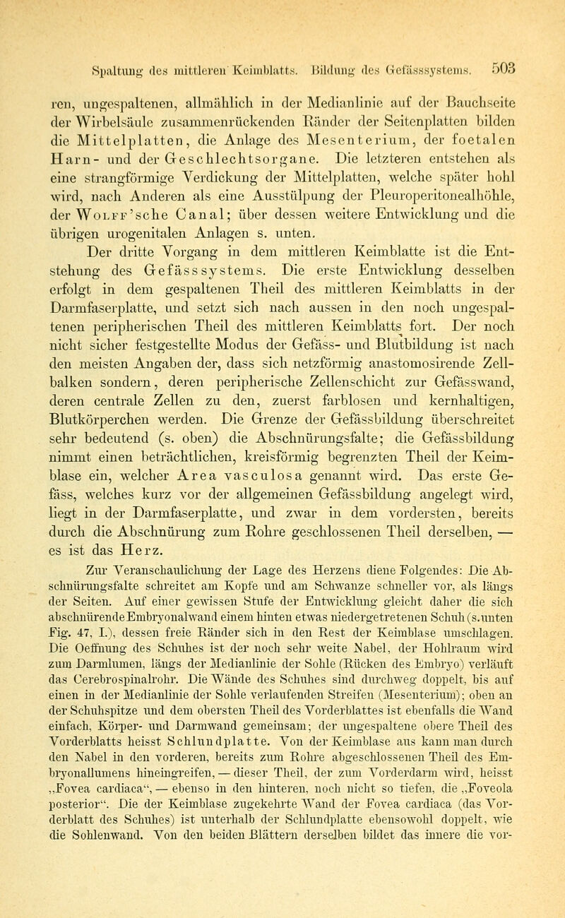 reu, ungcspaltenen, allmählich in der Medianlinie auf der Bauchseite der Wirbelsäule zusammenrückenden Ränder der Seitenplatten bilden die Mittelplatten, die Anlage des Mesenterium, der foetalen Harn- und der Geschlechtsorgane. Die letzteren entstehen als eine strangförmige Verdickung der Mittelplatten, welche später hohl wird, nach Anderen als eine Ausstülpung der Pleuroperitonealhöhle, der Wolff'sehe Canal; über dessen weitere Entwicklung und die übrigen urogenitalen Anlagen s. unten. Der dritte Vorgang in dem mittleren Keimblatte ist die Ent- stehung des Gefässsystems. Die erste Entwicklung desselben erfolgt in dem gespaltenen Theil des mittleren Keimblatts in der Darmfaserplatte, und setzt sich nach aussen in den noch ungespal- tenen peripherischen Theil des mittleren Keimblatts fort. Der noch nicht sicher festgestellte Modus der Gefäss- und Blutbildung ist nach den meisten Angaben der, dass sich netzförmig anastomosirende Zell- balken sondern, deren peripherische Zellenschicht zur Gefässwand, deren centrale Zellen zu den, zuerst farblosen und kernhaltigen, Blutkörperchen werden. Die Grenze der Gefässbildung überschreitet sehr bedeutend (s. oben) die Abschnürungsfalte; die Gefässbildung nimmt einen beträchtlichen, kreisförmig begrenzten Theil der Keim- blase ein, welcher Area vasculosa genannt wird. Das erste Ge- fäss, welches kurz vor der allgemeinen Gefässbildung angelegt wird, liegt in der Darmfaserplatte, und zwar in dem vordersten, bereits durch die Abschnürung zum Rohre geschlossenen Theil derselben, — es ist das Herz. Zur Veranschaulichung der Lage des Herzens diene Folgendes: Die Ab- schnürungsfalte schreitet am Kopfe und am Schwänze schneller vor, als längs der Seiten. Auf einer gewissen Stufe der Entwicklung gleicht daher die sich abschnürende Embryonalwand einem hinten etwas niedergetretenen Schuh (s.unten Eig. 47, I.), dessen freie Ränder sich in den Rest der Keimblase umschlagen. Die Oeffnung des Schuhes ist der noch sehr weite Nabel, der Hohlraiini wird zum Darmlumen, längs der Medianlinie der Sohle (Rücken des Embryo) verläuft das Cerebrospinalrohr. Die Wände des Schuhes sind durchweg doppelt, bis auf einen in der Medianlinie der Sohle verlaufenden Streifen (Mesenterium); oben an der Schuhspitze und dem obersten Theü des Vorderblattes ist ebenfalls die Wand einfach, Körper- und Darmwand gemeinsam; der ungespaltene obere Theil des Vorderblatts heisst Schlundplatte. Von der Keimblase aus kann man durch den Nabel in den vorderen, bereits zum Rohre abgeschlossenen Theü des Em- bryonallumens hineingreifen, — dieser Theü, der zum Vorderdarm wüd, heisst „Eovea cardiaca, — ebenso in den hinteren, noch nicht so tiefen, die „Foveola posterior. Die der Keimbiase zugekehrte Wand der Eovea cardiaca (das Vor- derblatt des Schuhes) ist unterhalb der Schlundplatte ebensowohl doppelt, wie die Sohlenwand. Von den beiden Blättern derselben bildet das innere die vor-