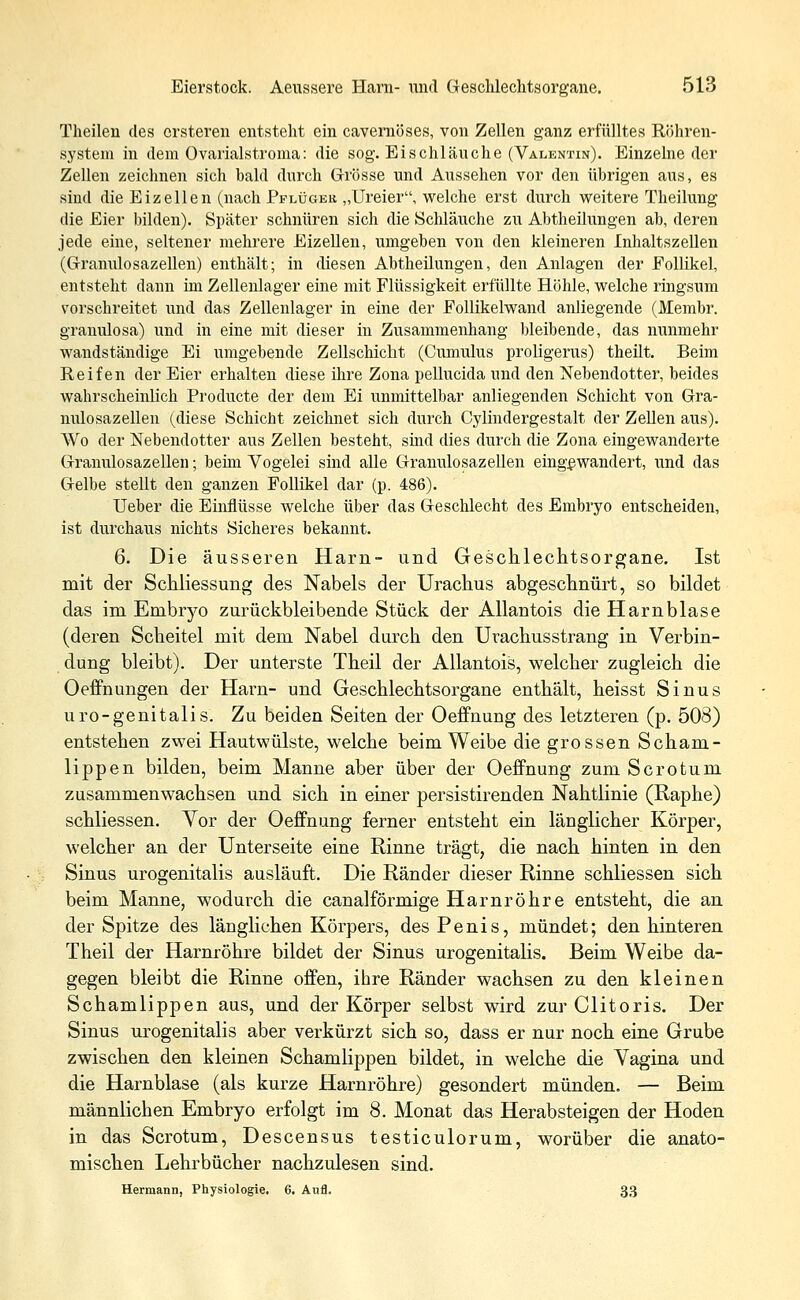 Theilen des orsteren entsteht ein cavernöses, von Zellen ganz erfülltes Röhren- system in dem Ovarialstroma: die sog. Eischläuche (Valentin). Einzelne der Zellen zeichnen sich bald durch Grösse und Aussehen vor den übrigen aus, es sind die Eizellen (nach Pflüger „Ureier, welche erst durch weitere Theilung die Eier bilden). Später schnüren sich die Schläuche zu Abtheilungen ab, deren jede eine, seltener mehrere Eizellen, umgeben von den kleineren Inhaltszellen (Granulosazellen) enthält; in diesen Abtheilungen, den Anlagen der Follikel, entsteht dann im Zellenlager eine mit Flüssigkeit erfüllte Höhle, welche ringsum vorschreitet und das Zellenlager in eine der Follikelwand anliegende (Membr. granulosa) und in eine mit dieser in Zusammenhang bleibende, das nunmehr wandständige Ei umgebende Zellschicht (Cumulus proligerus) theilt. Beim Reifen der Eier erhalten diese ihre Zona pellucida und den Nebendotter, beides wahrscheinlich Producte der dem Ei unmittelbar anliegenden Schicht von Gra- nulosazellen (diese Schicht zeichnet sich durch Cylindergestalt der Zellen aus). Wo der Nebendotter aus Zellen besteht, sind dies durch die Zona eingewanderte Granulosazellen; beim Vogelei sind alle Granulosazellen eingewandert, und das Gelbe stellt den ganzen Follikel dar (p. 486). lieber die Einflüsse welche über das Geschlecht des Embryo entscheiden, ist durchaus nichts Sicheres bekannt. 6. Die äusseren Harn- und Geschlechtsorgane. Ist mit der Schliessung des Nabels der Urachus abgeschnürt, so bildet das im Embryo zurückbleibende Stück der Allantois die Harnblase (deren Scheitel mit dem Nabel durch den Urachusstrang in Verbin- dung bleibt). Der unterste Theil der Allantois, welcher zugleich die Oeffnungen der Harn- und Geschlechtsorgane enthält, heisst Sinus uro-genitalis. Zu beiden Seiten der Oeffnung des letzteren (p. 503) entstehen zwei Hautwülste, welche beim Weibe die grossen Scham- lippen bilden, beim Manne aber über der Oeffnung zum Scrotum zusammenwachsen und sich in einer persistirenden Nahtlinie (Raphe) schliessen. Vor der Oeffnung ferner entsteht ein länglicher Körper, welcher an der Unterseite eine Rinne trägt, die nach hinten in den Sinus urogenitalis ausläuft. Die Ränder dieser Rinne schliessen sich beim Manne, wodurch die canalförmige Harnröhre entsteht, die an der Spitze des länglichen Körpers, des Penis, mündet; den hinteren Theil der Harnröhre bildet der Sinus urogenitalis. Beim Weibe da- gegen bleibt die Rinne offen, ihre Ränder wachsen zu den kleinen Schamlippen aus, und der Körper selbst wird zur Clitoris. Der Sinus urogenitalis aber verkürzt sich so, dass er nur noch eine Grube zwischen den kleinen Schamlippen bildet, in welche die Vagina und die Harnblase (als kurze Harnröhre) gesondert münden. — Beim männlichen Embryo erfolgt im 8. Monat das Herabsteigen der Hoden in das Scrotum, Descensus testiculorum, worüber die anato- mischen Lehrbücher nachzulesen sind. Hermann, Physiologie. 6. Aufl. 33