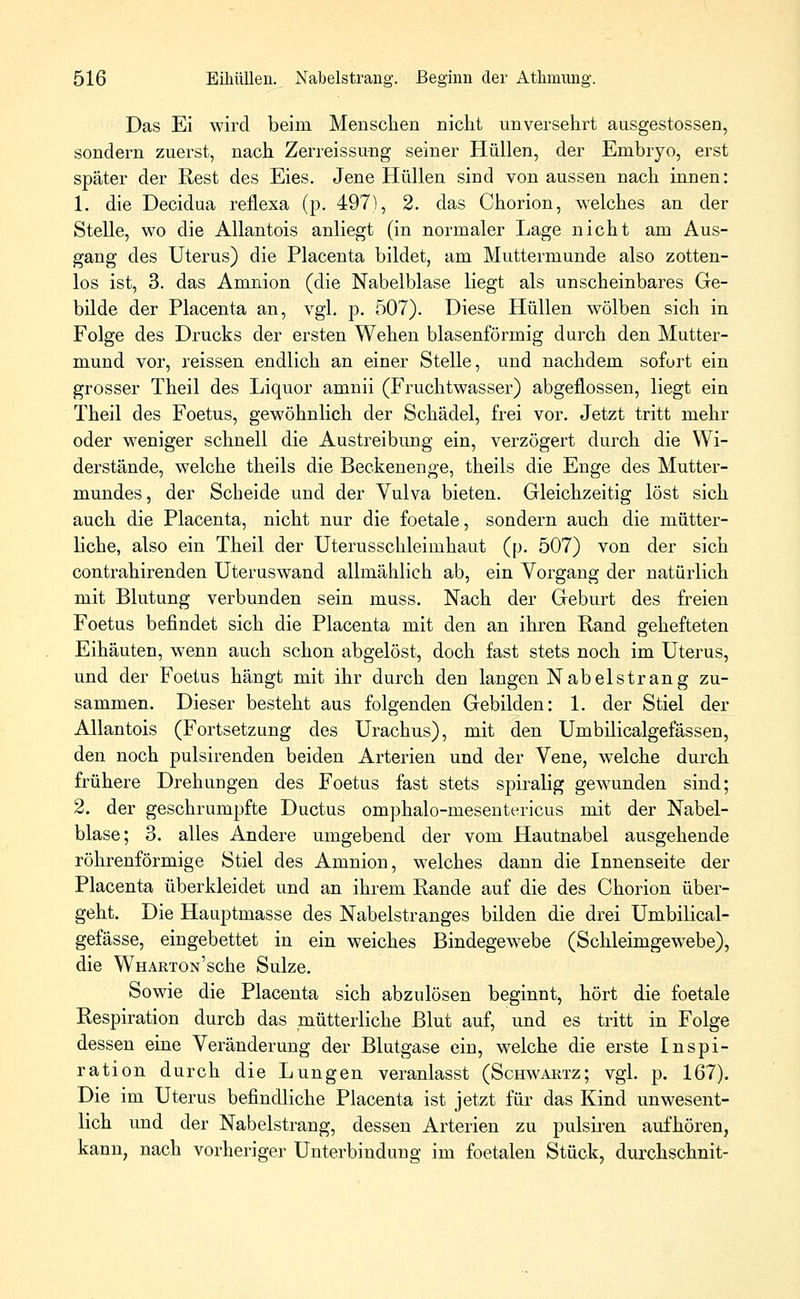 Das Ei wird beim Menschen nicht unversehrt ausgestossen, sondern zuerst, nach Zerreissung seiner Hüllen, der Embryo, erst später der Rest des Eies. Jene Hüllen sind von aussen nach innen: 1. die Decidua reflexa (p. 497), 2. das Chorion, welches an der Stelle, wo die Allantois anliegt (in normaler Lage nicht am Aus- gang des Uterus) die Placenta bildet, am Muttermunde also zotten- los ist, 3. das Amnion (die Nabelblase liegt als unscheinbares Ge- bilde der Placenta an, vgl. p. 507). Diese Hüllen wölben sich in Folge des Drucks der ersten Wehen blasenförmig durch den Mutter- mund vor, reissen endlich an einer Stelle, und nachdem sofort ein grosser Theil des Liquor amnii (Fruchtwasser) abgeflossen, liegt ein Theil des Foetus, gewöhnlich der Schädel, frei vor. Jetzt tritt mehr oder weniger schnell die Austreibung ein, verzögert durch die Wi- derstände, welche theils die Beckenenge, theils die Enge des Mutter- mundes, der Scheide und der Vulva bieten. Gleichzeitig löst sich auch die Placenta, nicht nur die foetale, sondern auch die mütter- liche, also ein Theil der Uterusschleimhaut (p. 507) von der sich contrahirenden Uteruswand allmählich ab, ein Vorgang der natürlich mit Blutung verbunden sein muss. Nach der Geburt des freien Foetus befindet sich die Placenta mit den an ihren Rand gehefteten Eihäuten, wenn auch schon abgelöst, doch fast stets noch im Uterus, und der Foetus hängt mit ihr durch den langen Nabel sträng zu- sammen. Dieser besteht aus folgenden Gebilden: 1. der Stiel der Allantois (Fortsetzung des Urachus), mit den Umbilicalgefässen, den noch pulsirenden beiden Arterien und der Vene, welche durch frühere Drehungen des Foetus fast stets spiralig gewunden sind; 2. der geschrumpfte Ductus omphalo-mesentericus mit der Nabel- blase; 3. alles Andere umgebend der vom Hautnabel ausgehende röhrenförmige Stiel des Amnion, welches dann die Innenseite der Placenta überkleidet und an ihrem Rande auf die des Chorion über- geht. Die Hauptmasse des Nabelstranges bilden die drei Umbilical- gefässe, eingebettet in ein weiches Bindegewebe (Schleimgewebe), die WHARTON'sche Sülze. Sowie die Placenta sich abzulösen beginnt, hört die foetale Respiration durch das mütterliche Blut auf, und es tritt in Folge dessen eine Veränderung der Blutgase ein, welche die erste Inspi- ration durch die Lungen veranlasst (Schwartz; vgl. p. 167). Die im Uterus befindliche Placenta ist jetzt für das Kind unwesent- lich und der Nabelstrang, dessen Arterien zu pulsiren aufhören, kann, nach vorheriger Unterbindung im foetalen Stück, durchschnit-