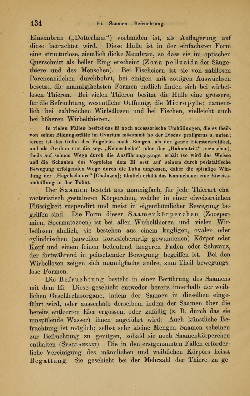 Eimembran („Dotterhaut) vorhanden ist, als Auflagerung auf diese betrachtet wird. Diese Hülle ist in der einfachsten Form eine structurlose, ziemlich dicke Membran, so dass sie im optischen Querschnitt als heller Ring erscheint (Zona pellucida der Säuge- thiere und des Menschen). Bei Fischeiern ist sie von zahllosen Porencanälchen durchbohrt, bei einigen mit zottigen Auswüchsen besetzt, die mannigfachsten Formen endlich finden sich bei wirbel- losen Thieren. Bei vielen Thieren besitzt die Hülle eine grössere, für die Befruchtung wesentliche Oeffnung, die Micropyle; nament- lich bei zahlreichen Wirbellosen und bei Fischen, vielleicht auch bei höheren Wirbelthieren. In vielen Fällen besitzt das Ei noch accessorische Umhüllungen, die es theils von seiner Bildungsstätte im Ovarium mitnimmt (so der Discus proligerus s. unten; ferner ist das Gelbe des Vogeleies nach Einigen als der ganze Eierstockfollikel, und als Ovulum nur die sog. „Keimscheibe oder der „Hahnentritt anzusehen), theils auf seinem Wege durch die Ausführungsgänge erhält (so wird das Weisse und die Schaalen des Vogeleies dem Ei erst auf seinem durch peristaltische Bewegung erfolgenden Wege durch die Tuba umgössen, daher die spiralige Win- dung der „Hagelschnüre [Chalazen]; ähnlich erhält das Kaninchenei eine Eiweiss- umhüllung in der Tuba). Der Saamen besteht aus mannigfach, für jede Thierart cha- racteristisch gestalteten Körperchen, welche in einer eiweissreichen Flüssigkeit suspendirt und meist in eigenthümlicher Bewegung be- griffen sind. Die Form dieser Saamenkörperchen (Zoosper- mien, Spermatozoon) ist bei allen Wirbelthieren und vielen Wir- bellosen ähnlich, sie bestehen aus einem kugligen, ovalen oder cylindrischen (zuweilen korkzieherartig gewundenen) Körper oder Kopf und einem feinen bedeutend längeren Faden oder Schwanz, der fortwährend in peitschender Bewegung begriffen ist. Bei den Wirbellosen zeigen sich mannigfache andre, zum Theil bewegungs- lose Formen. Die Befruchtung besteht in einer Berührung des Saamens mit dem Ei. Diese geschieht entweder bereits innerhalb der weib- lichen Geschlechtsorgane, indem der Saamen in dieselben einge- führt wird, oder ausserhalb derselben, indem der Saamen über die bereits entleerten Eier ergossen, oder zufällig (z. B. durch das sie umspülende Wasser) ihnen zugeführt wird. Auch künstliche Be- fruchtung ist möglich; selbst sehr kleine Mengen Saamen scheinen zur Befruchtung zu genügen, sobald sie noch Saamenkörperchen enthalten (Spallanzani). Die in den erstgenannten Fällen erforder- liche Vereinigung des männlichen und weiblichen Körpers heisst Begattung. Sie geschieht bei der Mehrzahl der Thiere zu ge-