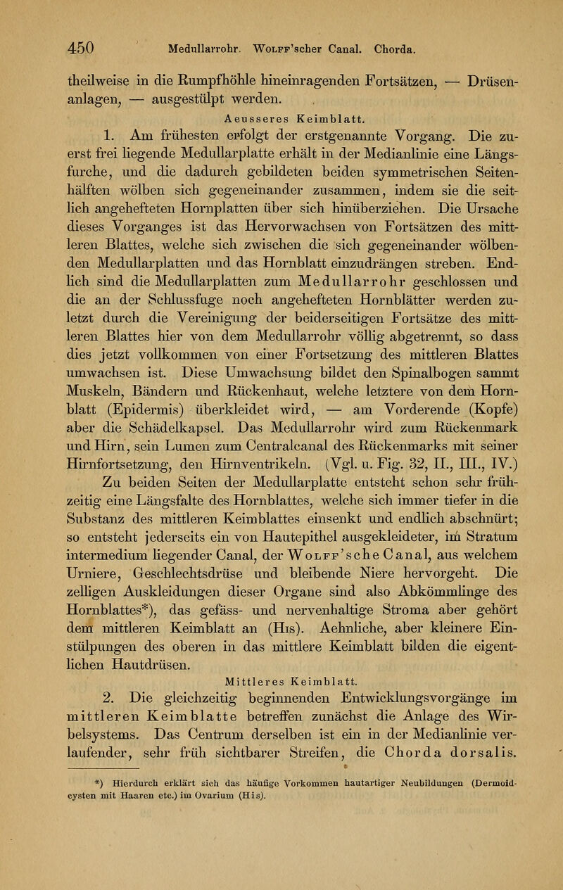 theilweise in die Rumpfhöhle hineinragenden Fortsätzen, — Drüsen- anlagen, — ausgestülpt werden. Aeusseres Keimblatt. 1. Am frühesten erfolgt der erstgenannte Vorgang. Die zu- erst frei liegende Medullarplatte erhält in der Medianlinie eine Längs- furche, und die dadurch gebildeten beiden symmetrischen Seiten- hälften wölben sich gegeneinander zusammen, indem sie die seit- lich angehefteten Hornplatten über sich hinüberziehen. Die Ursache dieses Vorganges ist das Hervorwachsen von Fortsätzen des mitt- leren Blattes, welche sich zwischen die sich gegeneinander wölben- den Medullarplatten und das Hornblatt einzudrängen streben. End- lich sind die Medullarplatten zum Medullarrohr geschlossen und die an der Schlussfuge noch angehefteten Hornblätter werden zu- letzt durch die Vereinigung der beiderseitigen Fortsätze des mitt- leren Blattes hier von dem Medullarrohr völlig abgetrennt, so dass dies jetzt vollkommen von einer Fortsetzung des mittleren Blattes umwachsen ist. Diese Umwachsung bildet den Spinalbogen sammt Muskeln, Bändern und Rückenhaut, welche letztere von dem Horn- blatt (Epidermis) überkleidet wird, — am Vor der ende (Kopfe) aber die Schädelkapsel. Das Medullarrohr wird zum Rückenmark und Hirn, sein Lumen zum Centralcanal des Rückenmarks mit seiner Hirnfortsetzung, den Hirnventrikeln. (Vgl. u. Fig. 32, II., III., IV.) Zu beiden Seiten der Medullarplatte entsteht schon sehr früh- zeitig eine Längsfalte des Hornblattes, welche sich immer tiefer in die Substanz des mittleren Keimblattes einsenkt und endlich abschnürt; so entsteht jederseits ein von Hautepithel ausgekleideter, im Stratum intermedium liegender Canal, der WoLFF'scheCanal, aus welchem Urniere, Geschlechtsdrüse und bleibende Niere hervorgeht. Die zelligen Auskleidungen dieser Organe sind also Abkömmlinge des Hornblattes*), das gefäss- und nervenhaltige Stroma aber gehört dem mittleren Keimblatt an (His). Aehnliche, aber kleinere Ein- stülpungen des oberen in das mittlere Keimblatt bilden die eigent- lichen Hautdrüsen. Mittleres Keimblatt. 2. Die gleichzeitig beginnenden Entwicklungsvorgänge im mittleren Keimblatte betreffen zunächst die Anlage des Wir- belsystems. Das Centrum derselben ist ein in der Medianlinie ver- laufender, sehr früh sichtbarer Streifen, die Chorda dorsal is. *) Hierdurch erklärt sich das häufige Vorkommen hautartiger Neubildungen (Dermöid- cysten mit Haaren etc.) im Ovarium (His).