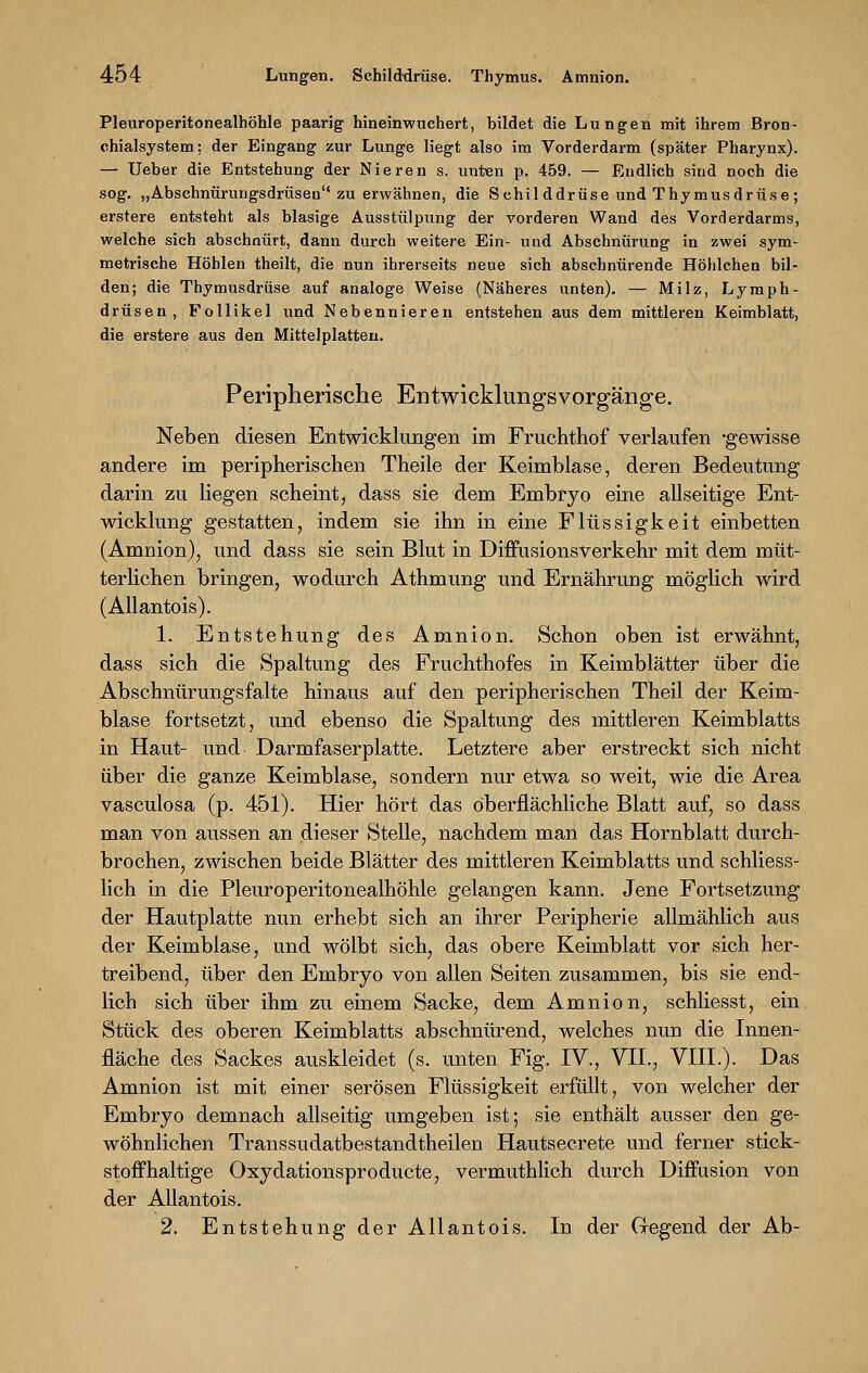 Pleuroperitonealhöhle paarig hineinwuchert, bildet die Lungen mit ihrem Bron- chialsystem: der Eingang zur Lunge liegt also im Vorderdarm (später Pharynx). — Ueber die Entstehung der Nieren s. unten p. 459. — Endlich siud noch die sog. „Abschnürungsdrüsen1'zu erwähnen, die S childdrüse und Thymusdrüse ; erstere entsteht als blasige Ausstülpung der vorderen Wand des Vorderdarms, welche sich abschnürt, dann durch weitere Ein- und Abschnürung in zwei sym- metrische Höhlen theilt, die nun ihrerseits neue sich abschnürende Höhlchen bil- den; die Thymusdrüse auf analoge Weise (Näheres unten). — Milz, Lymph- drüsen, Follikel und Nebennieren entstehen aus dem mittleren Keimblatt, die erstere aus den Mittelplatteu. Peripherische Entwicklungsvorgänge. Neben diesen Entwicklungen im Fruchthof verlaufen -gewisse andere im peripherischen Theile der Keimblase, deren Bedeutung darin zu liegen scheint, dass sie dem Embryo eine allseitige Ent- wicklung gestatten, indem sie ihn in eine Flüssigkeit einbetten (Amnion), und dass sie sein Blut in Diffusionsverkehr mit dem müt- terlichen bringen, wodurch Athmung und Ernährung möglich wird (Allantois). 1. Entstehung des Amnion. Schon oben ist erwähnt, dass sich die Spaltung des Fruchthofes in Keimblätter über die Abschnürungsfalte hinaus auf den peripherischen Theil der Keim- blase fortsetzt, und ebenso die Spaltung des mittleren Keimblatts in Haut- und Darmfaserplatte. Letztere aber erstreckt sich nicht über die ganze Keimblase, sondern nur etwa so weit, wie die Area vasculosa (p. 451). Hier hört das oberflächliche Blatt auf, so dass man von aussen an dieser Stelle, nachdem man das Hornblatt durch- brochen, zwischen beide Blätter des mittleren Keimblatts und schliess- lich in die Pleuroperitonealhöhle gelangen kann. Jene Fortsetzung der Hautplatte nun erhebt sich an ihrer Peripherie allmählich aus der Keimblase, und wölbt sich, das obere Keimblatt vor sich her- treibend, über den Embryo von allen Seiten zusammen, bis sie end- lich sich über ihm zu einem Sacke, dem Amnion, schliesst, ein Stück des oberen Keimblatts abschnürend, welches nun die Innen- fläche des Sackes auskleidet (s. unten Fig. IV., VII., VIII.). Das Amnion ist mit einer serösen Flüssigkeit erfüllt, von welcher der Embryo demnach allseitig umgeben ist; sie enthält ausser den ge- wöhnlichen Transsudatbestandtheilen Hautsecrete und ferner stick- stoffhaltige Oxydationspro ducte, vermuthlich durch Diffusion von der Allantois. 2. Entstehung der Allantois. In der Gegend der Ab-