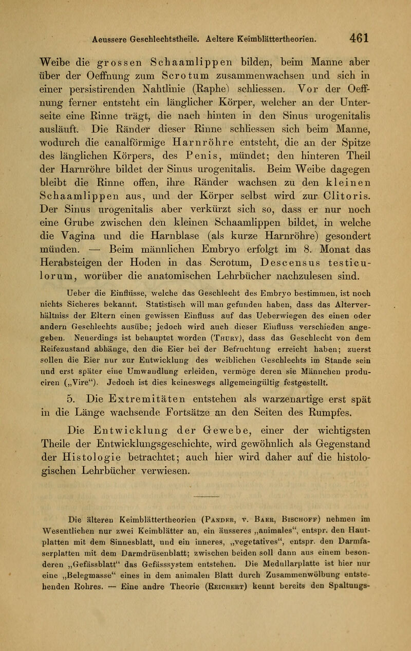 Weibe die grossen Schaamlippen bilden, beim Manne aber über der Oefihung zum Sero tum zusammenwachsen und sich in einer persistirenden Nahtlinie (Raphe) schliessen. Vor der Oeff- nung ferner entsteht ein länglicher Körper, welcher an der Unter- seite eine Rinne trägt, die nach hinten in den Sinus urogenitalis ausläuft. Die Räuder dieser Rinne schliessen sich beim Manne, wodurch die canalförmige Harnröhre entsteht, die an der Spitze des länglichen Körpers, des Penis, mündet; den hinteren Theil der Harnröhre bildet der Sinus urogenitalis. Beim Weibe dagegen bleibt die Rinne offen, ihre Ränder wachsen zu den kleinen Schaamlippen aus, und der Körper selbst wird zur Clitoris. Der Sinus urogenitalis aber verkürzt sich so, dass er nur noch eine Grube zwischen den kleinen Schaamlippen bildet, in welche die Vagina und die Harnblase (als kurze Harnröhre) gesondert münden. —• Beim männlichen Embryo erfolgt im 8. Monat das Herabsteigen der Hoden in das Scrotum, Descensus testicu- lorum, worüber die anatomischen Lehrbücher nachzulesen sind. Ueber die Einflüsse, welche das Geschlecht des Embryo bestimmen, ist noch nichts Sicheres bekannt. Statistisch will man gefunden haben, dass das Alterver- hältniss der Eltern einen gewissen Einfluss auf das Ueberwiegen des einen oder andern Geschlechts ausübe; jedoch wird auch dieser Einfluss verschieden ange- geben. Neuerdings ist behauptet worden (Thüry), dass das Geschlecht von dem Reifezustand abhänge, den die Eier bei der Befruchtung erreicht haben; zuerst sollen die Eier nur zur Entwicklung des weiblichen Geschlechts im Stande sein und erst später eine Umwandlung erleiden, vermöge deren sie Männchen produ- ciren („Vire). Jedoch ist dies keineswegs allgemeingültig festgestellt. 5. Die Extremitäten entstehen als warzenartige erst spät in die Länge wachsende Fortsätze an den Seiten des Rumpfes. Die Entwicklung der Gewebe, einer der wichtigsten Theile der Entwicklungsgeschichte, wird gewöhnlich als Gegenstand der Histologie betrachtet; auch hier wird daher auf die histolo- gischen Lehrbücher verwiesen. Die älteren Keimblättertheorien (Pandkr, v. Baer, Bischoff) nehmen im Wesentlichen nur zwei Keimblätter an, ein äusseres „animales, entspr. den Haut- platten mit dem Sinnesblatt, und ein inneres, „vegetatives, entspr. den Darmfa- serplatten mit dem Darmdrüsenblatt; zwischen beiden soll dann aus einem beson- deren „Gefässblatt das Gefässsystem entstehen. Die Mednllarplatte ist hier nur eine „Belegmasse eines in dem animalen Blatt durch Zusammenwölbung entste- henden Rohres. — Eine andre Theorie (Reichert) kennt bereits den Spaltuugs-